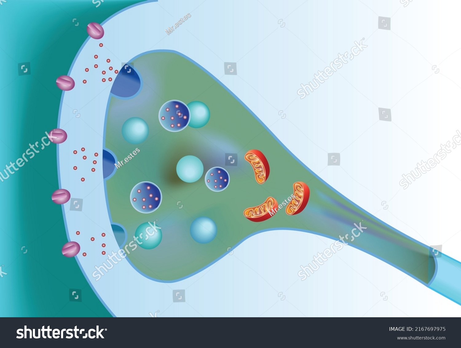 16,322 Synapse And Neuron Images, Stock Photos & Vectors | Shutterstock