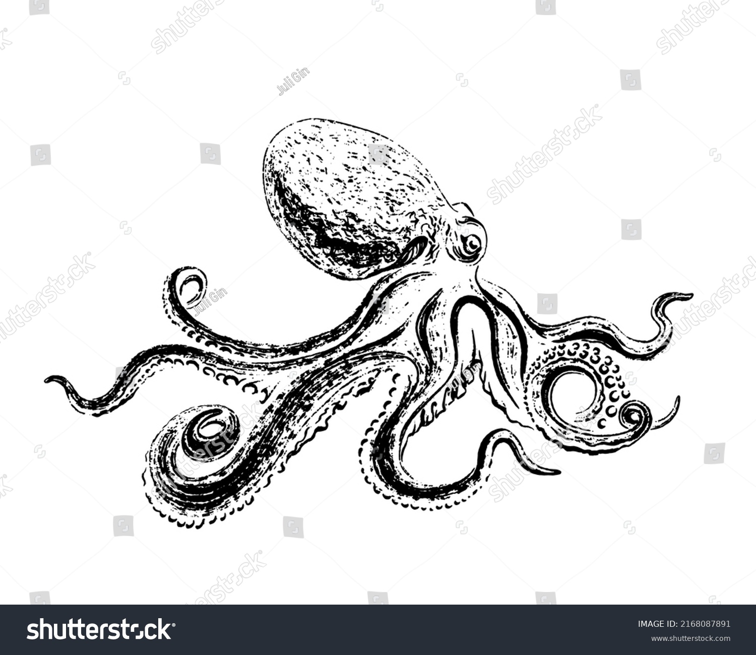 Octopus Drawn Black Ink Brush Texture Stock Vector (Royalty Free ...