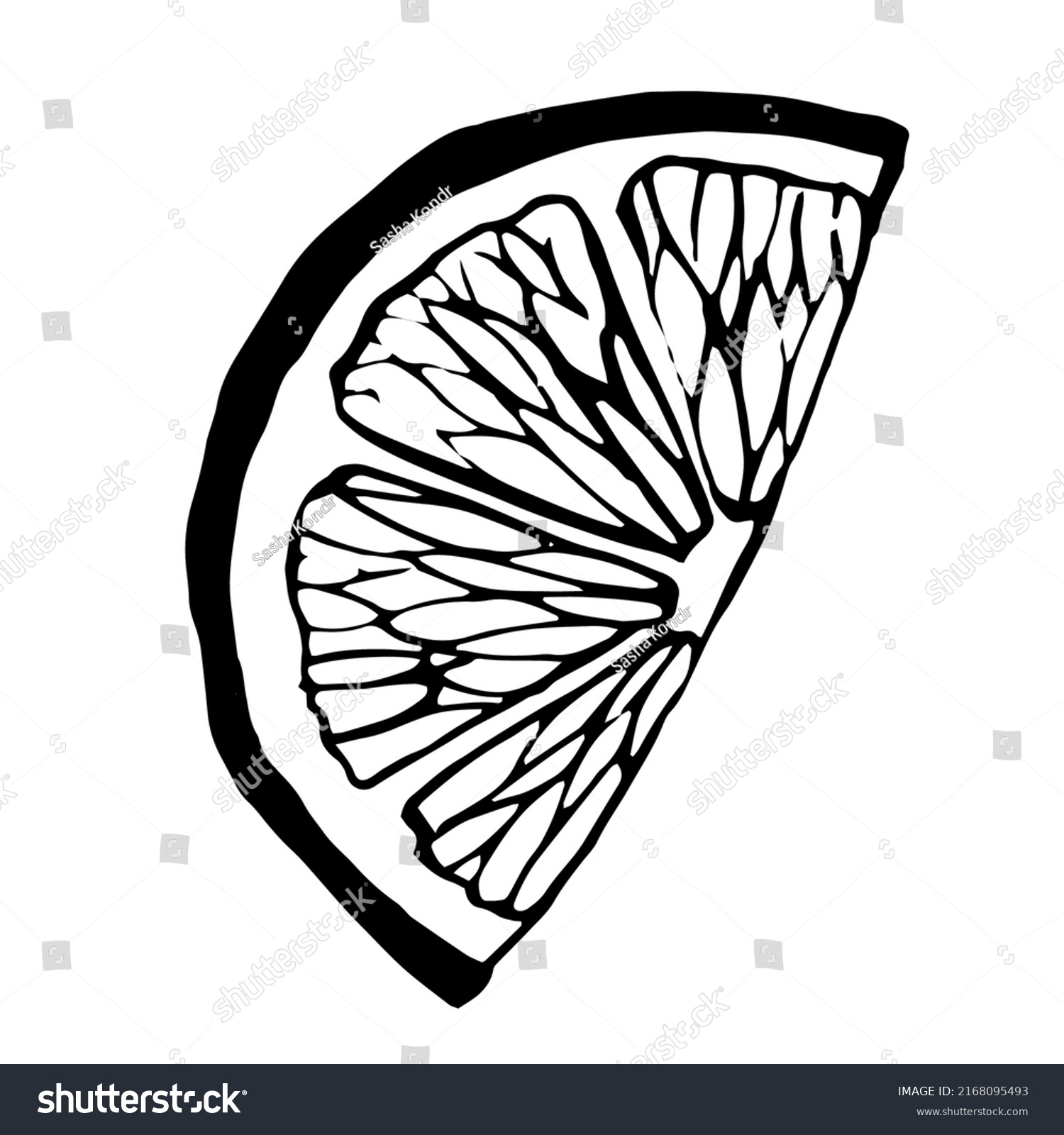 Lemon Black White Doodle Vector Hand Stock Vector (Royalty Free ...