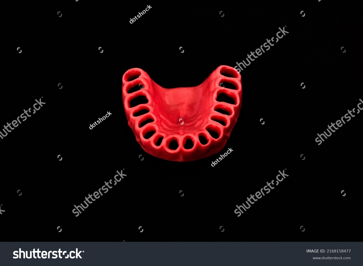 Human Gums Without Teeth Model Medical Stock Photo 2168158477 ...