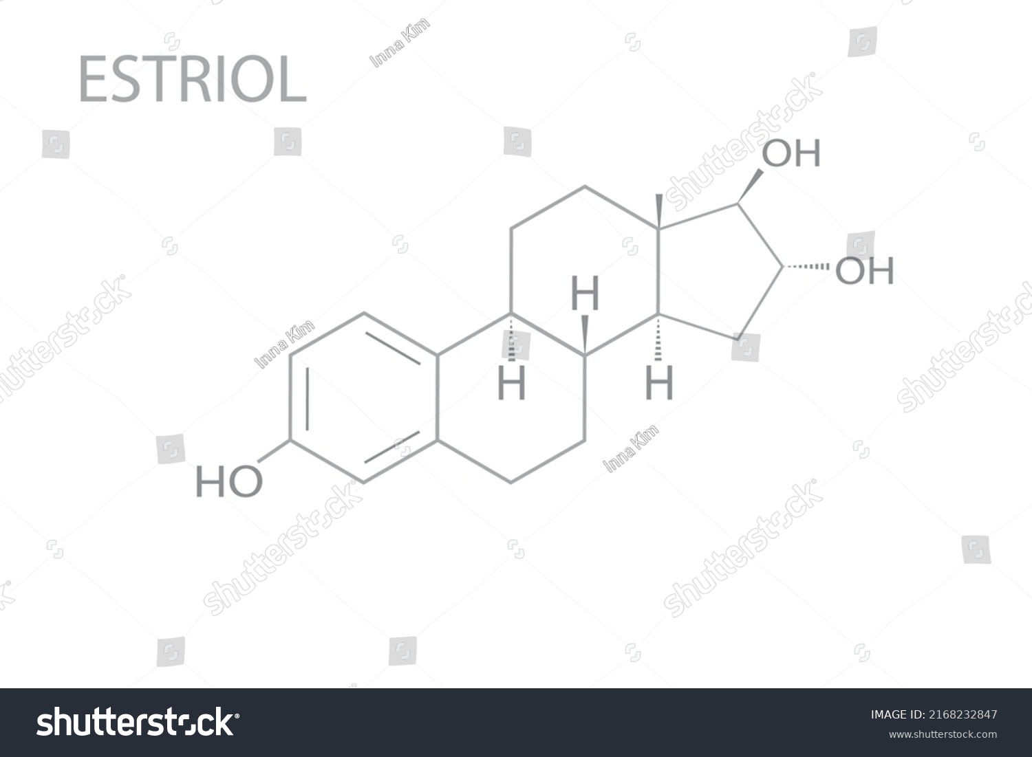 Estriol Molecular Skeletal Chemical Formula Stock Vector Royalty Free 2168232847 Shutterstock 9483