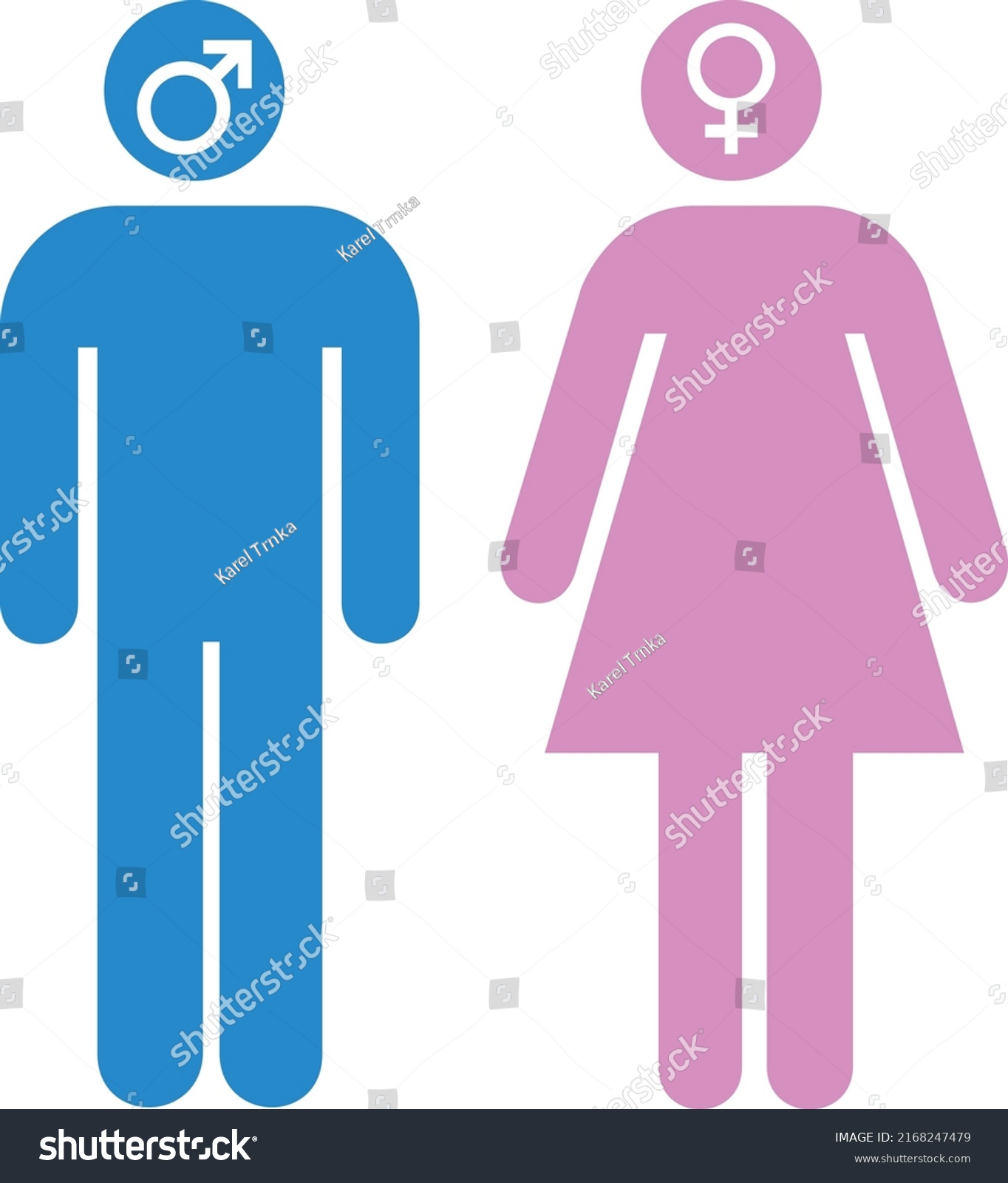 Male Female Symbols Two Genders Blue Stock Vector Royalty Free