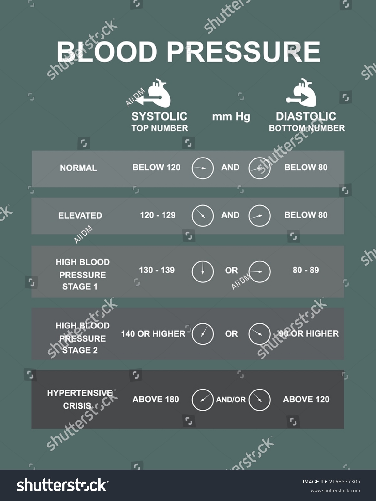 Scientific Designing Blood Pressure Levels Chart Stock Vector (Royalty ...