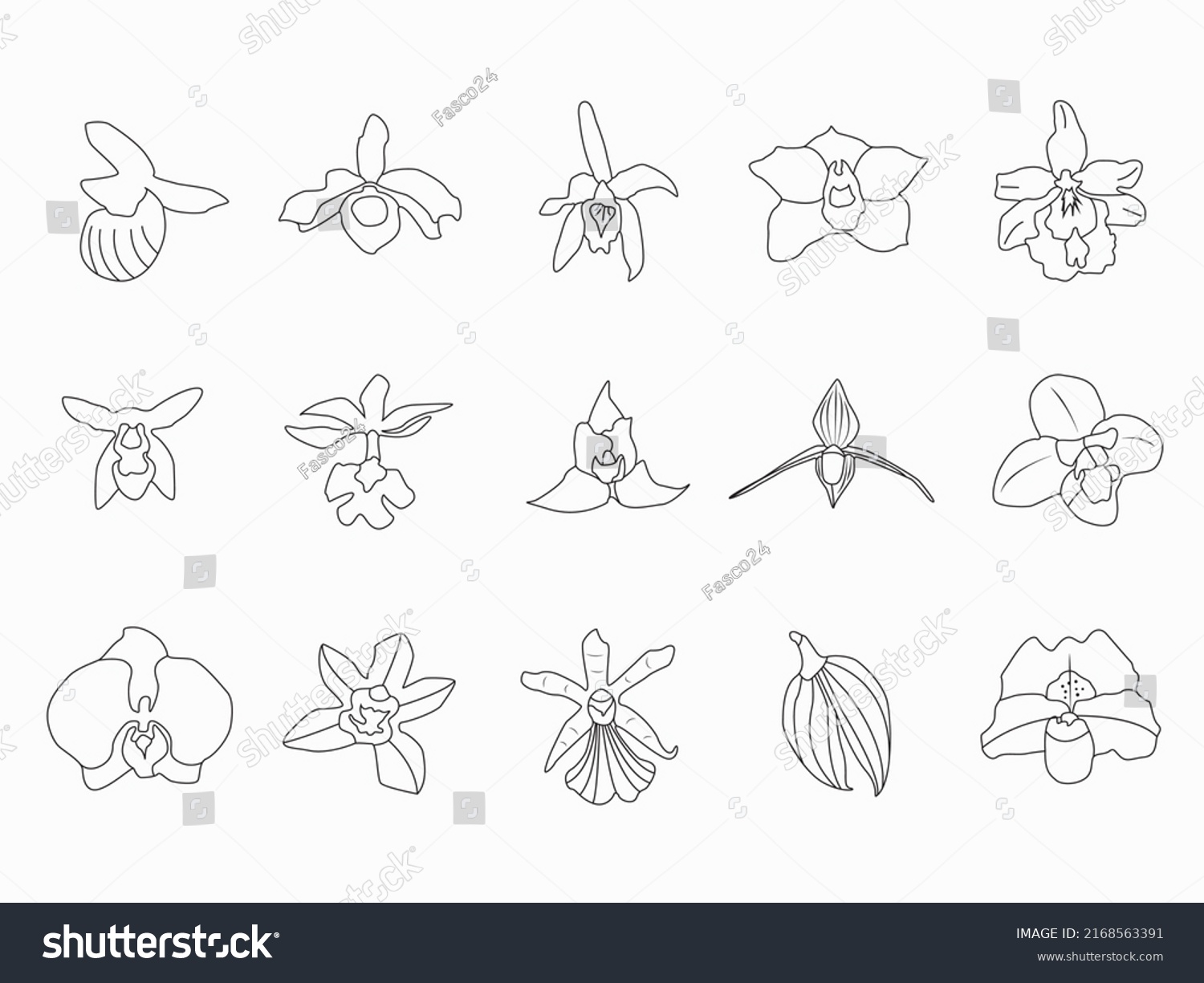 Hand Draw Line Art Orchids Flower Stock Vector (Royalty Free ...