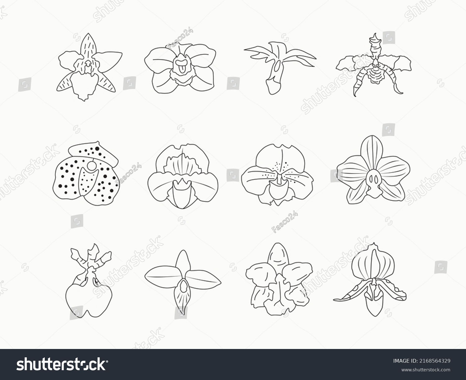 Orchids Flower Line Art Icon Set Stock Vector (Royalty Free) 2168564329 ...