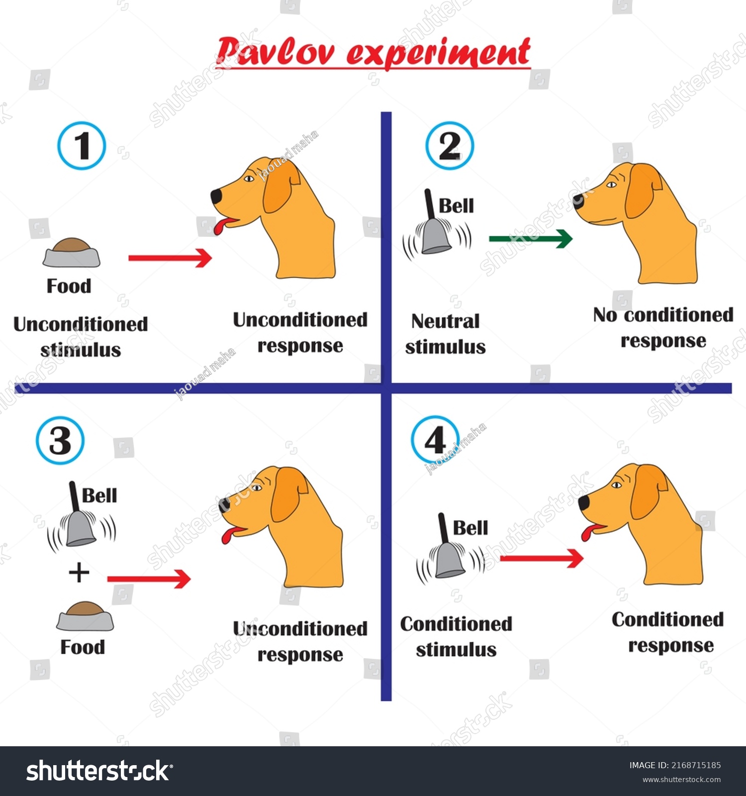 psykologi hund experiment