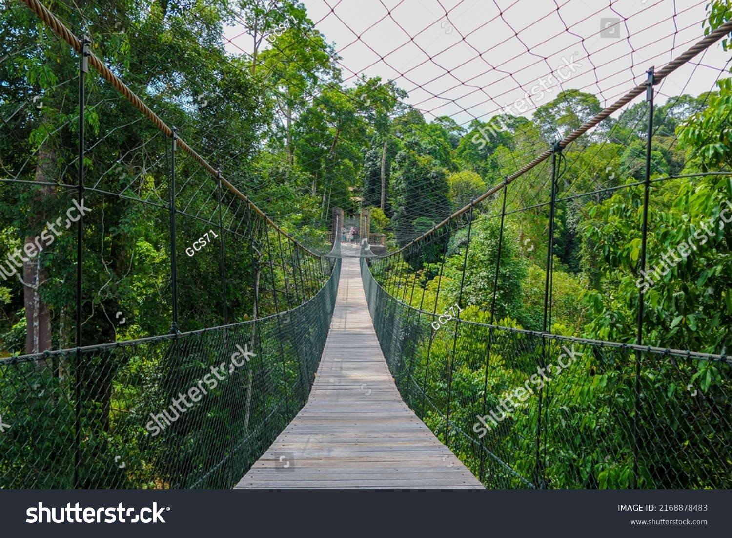 Hanging Bridge Kenyir Malaysia Used By Stock Photo 2168878483 ...