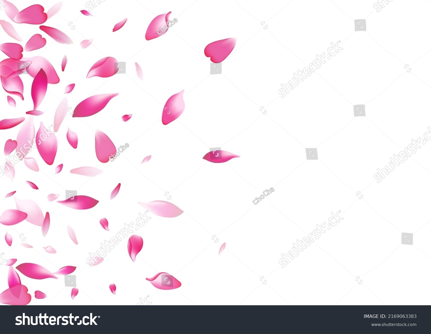 Transparent Flower Petal Vector White Background Stock Vector (Royalty ...