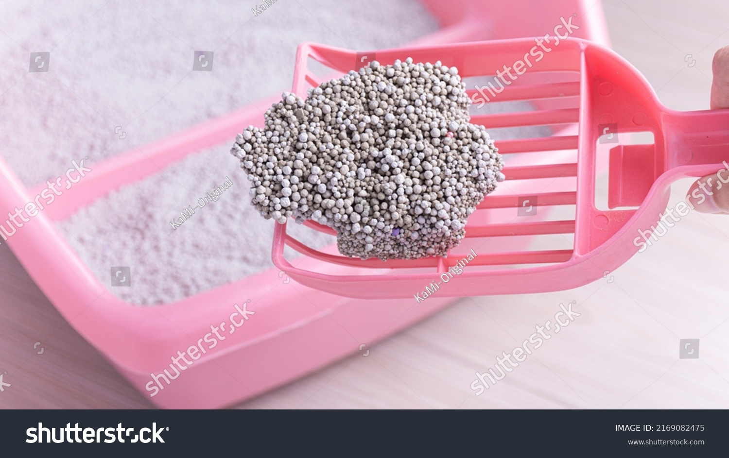 Situation Ore Condensation Cat Litter Use Stock Photo 2169082475