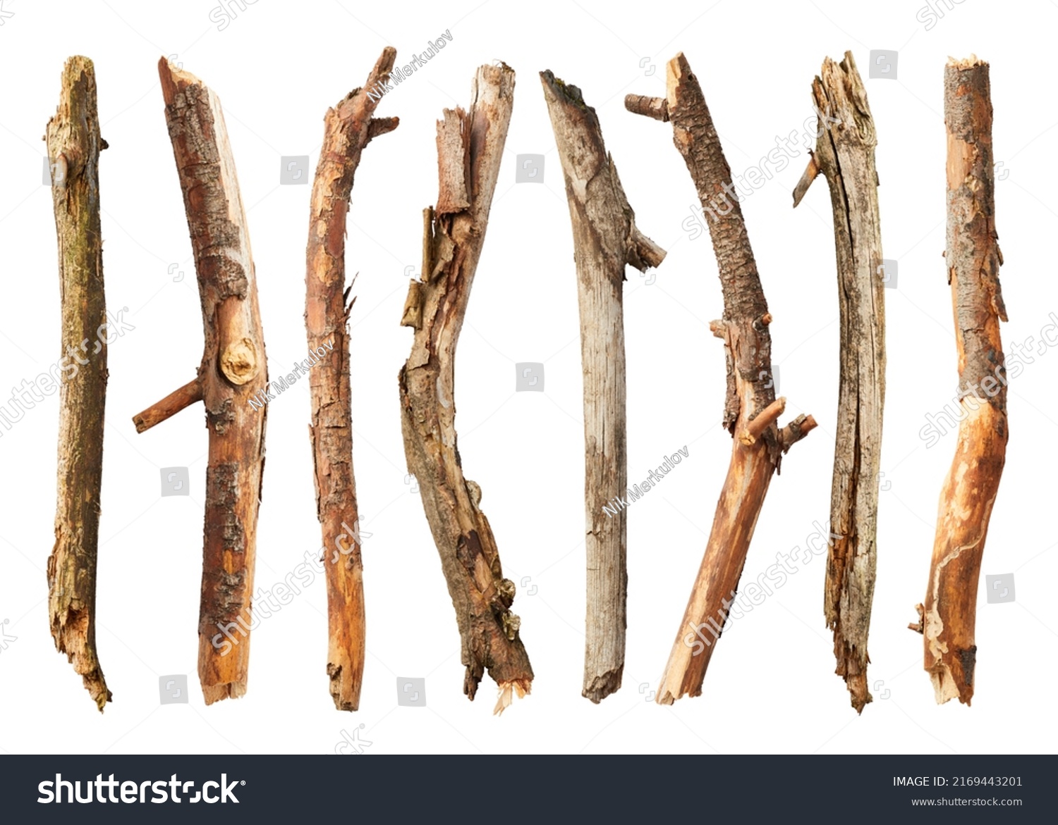 Tree Sticks Isolated On White Background Stock Photo 2169443201 ...