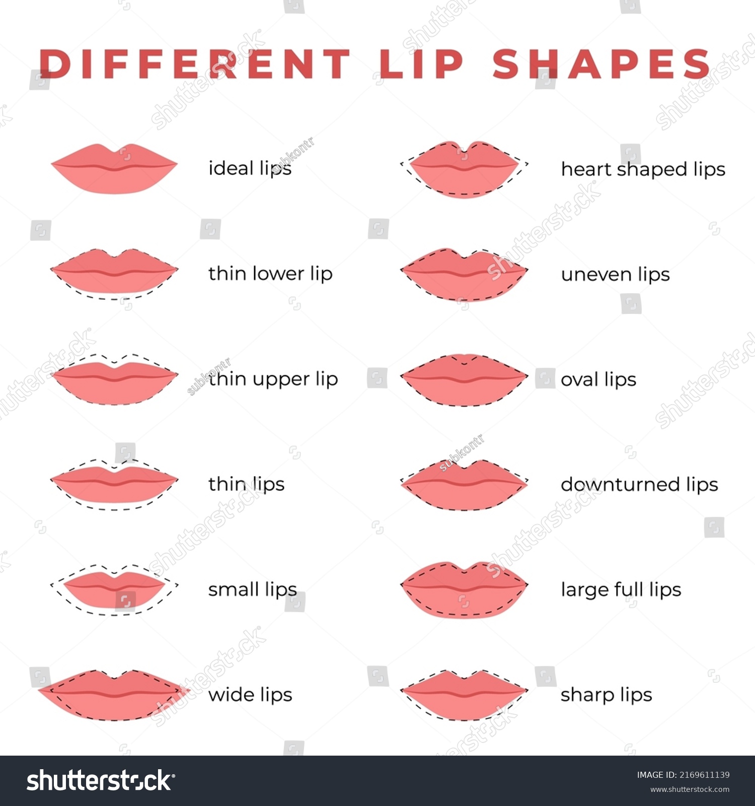 Set Different Lip Shapes Stock Vector Royalty Free 2169611139 0976