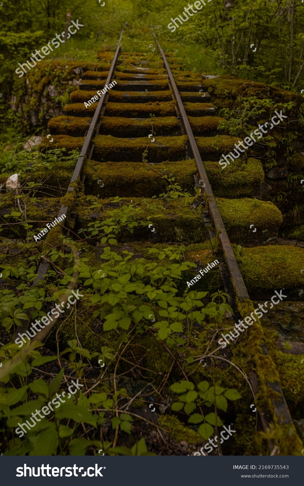 Old Abandoned Railway Narrow Gauge Train Stock Photo 2169735543 ...