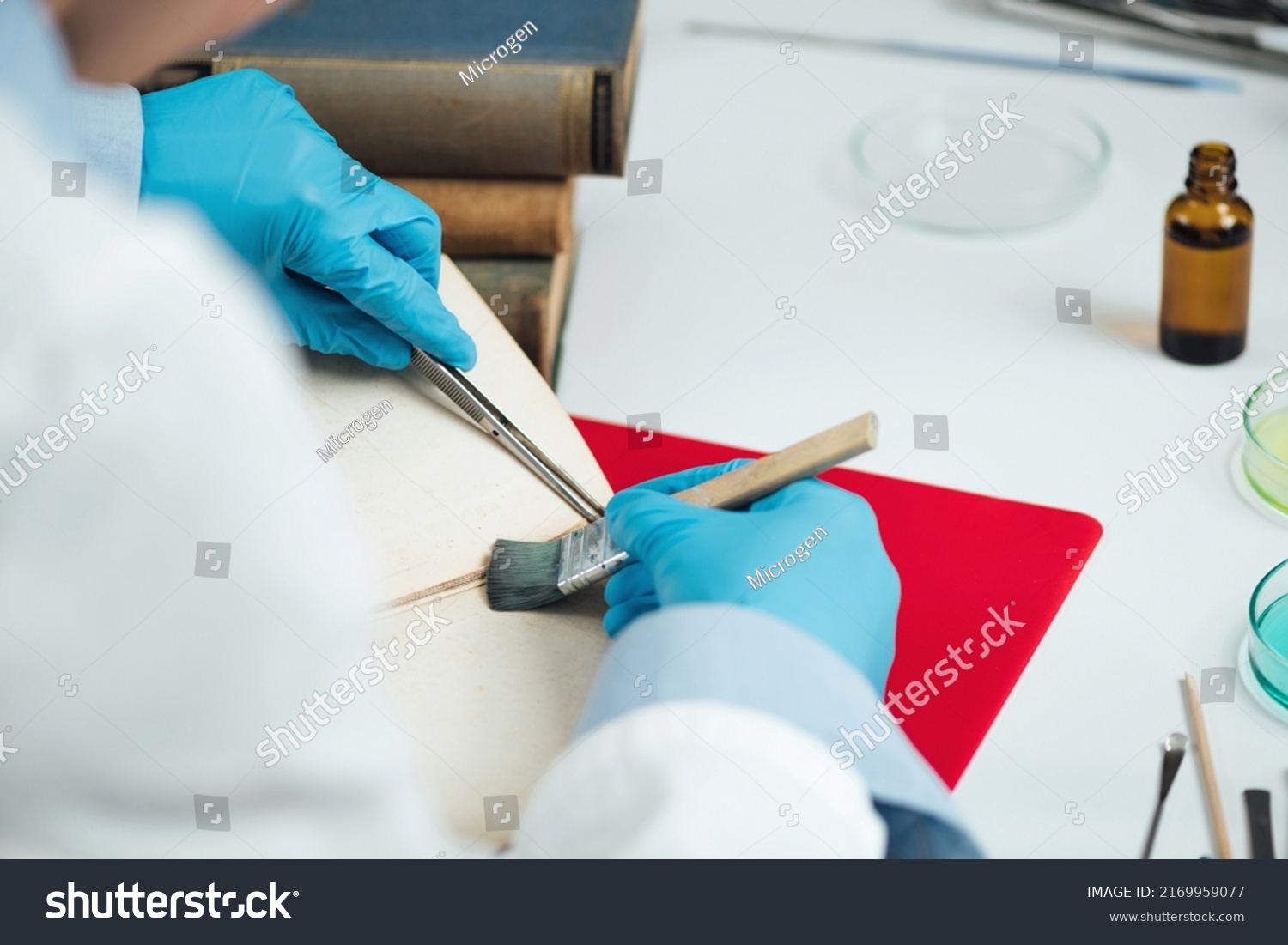 Antique Book Restoration Book Restorer Repairing Stock Photo 2169959077 ...