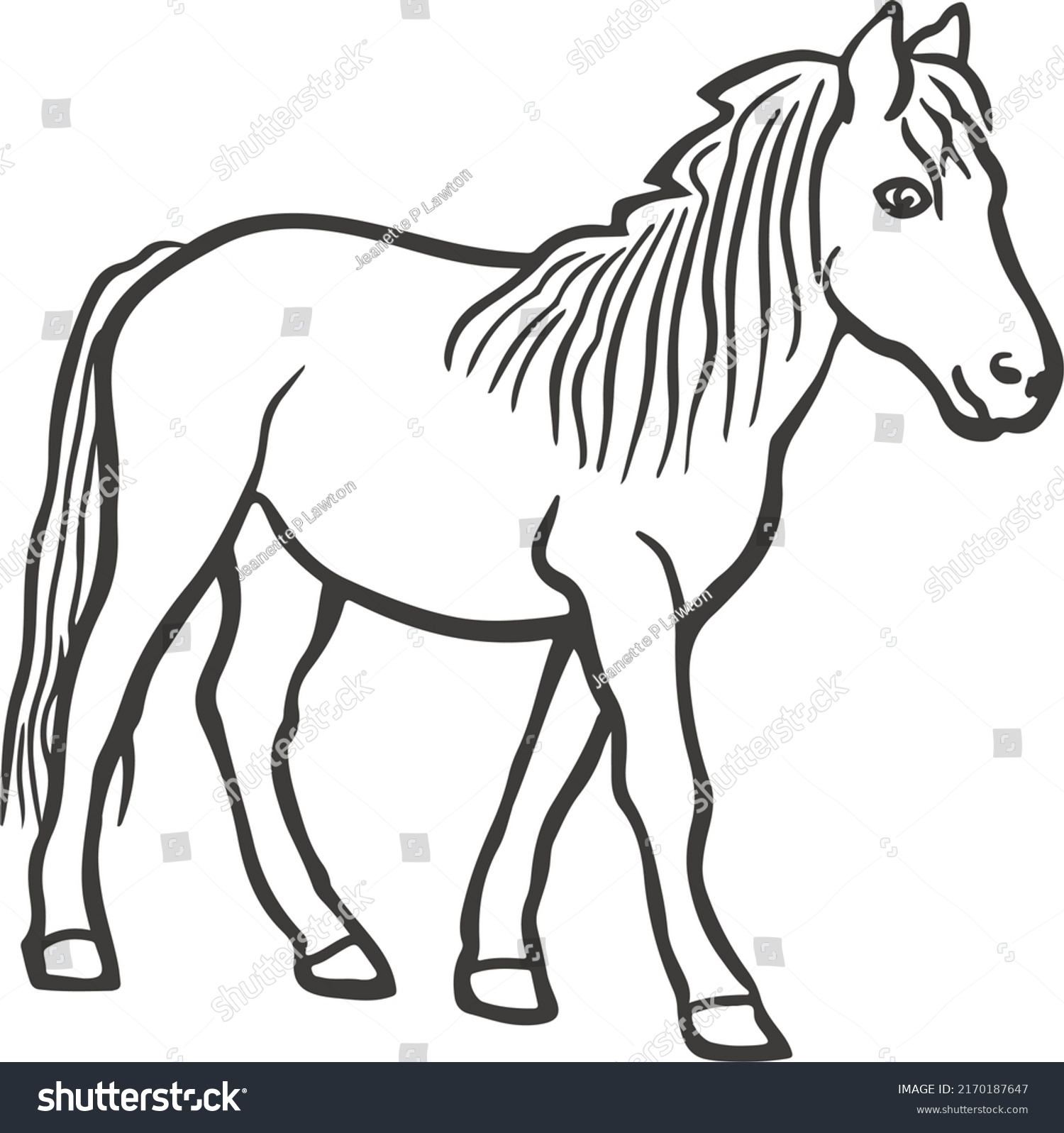Лошадь черно белая раскраска