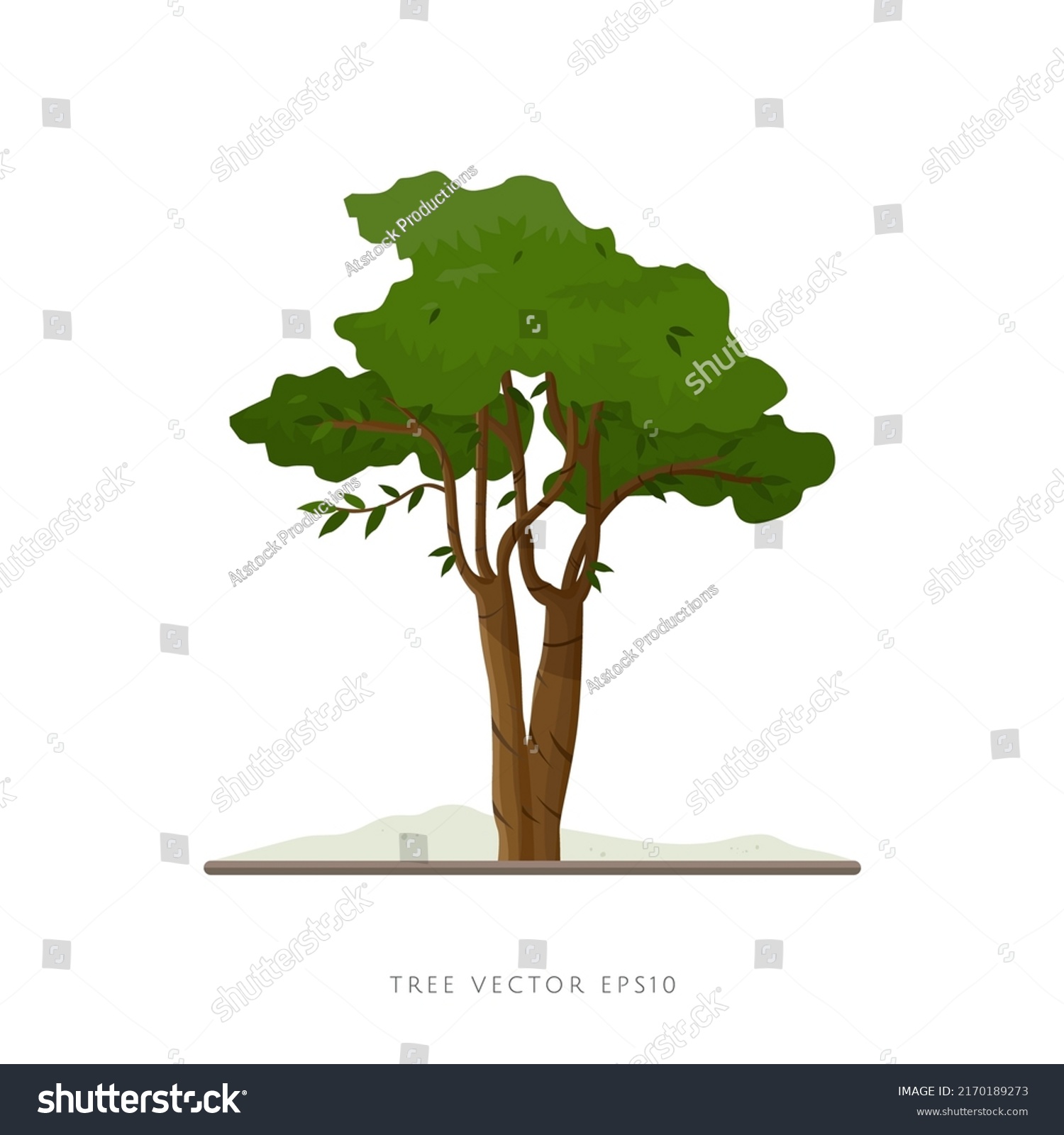 Tree Vector Illustration On White Background Stock Vector Royalty Free 2170189273 Shutterstock