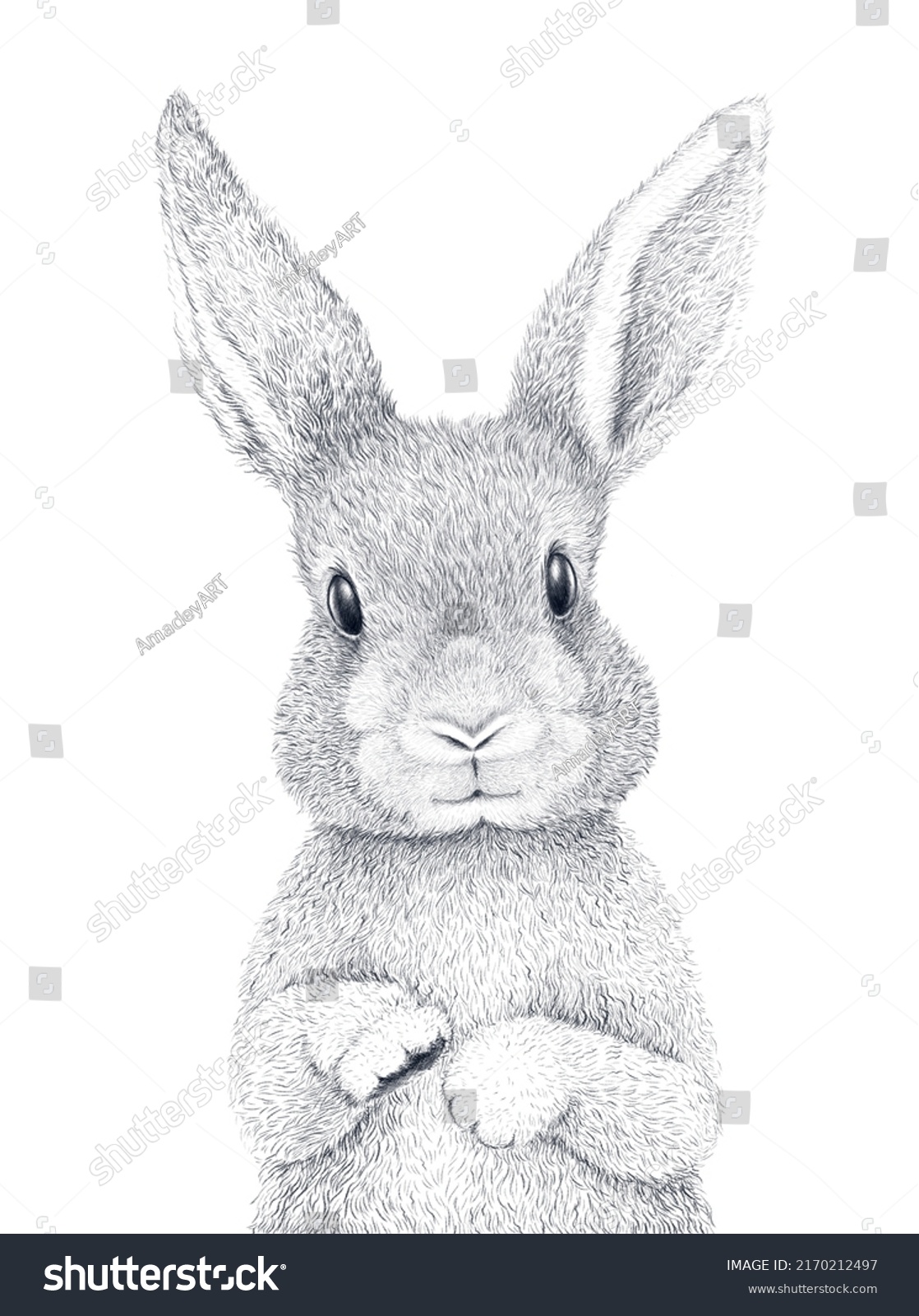 Cute Rabbit Pencil Draw Woodland Animals Stock Illustration 2170212497 ...