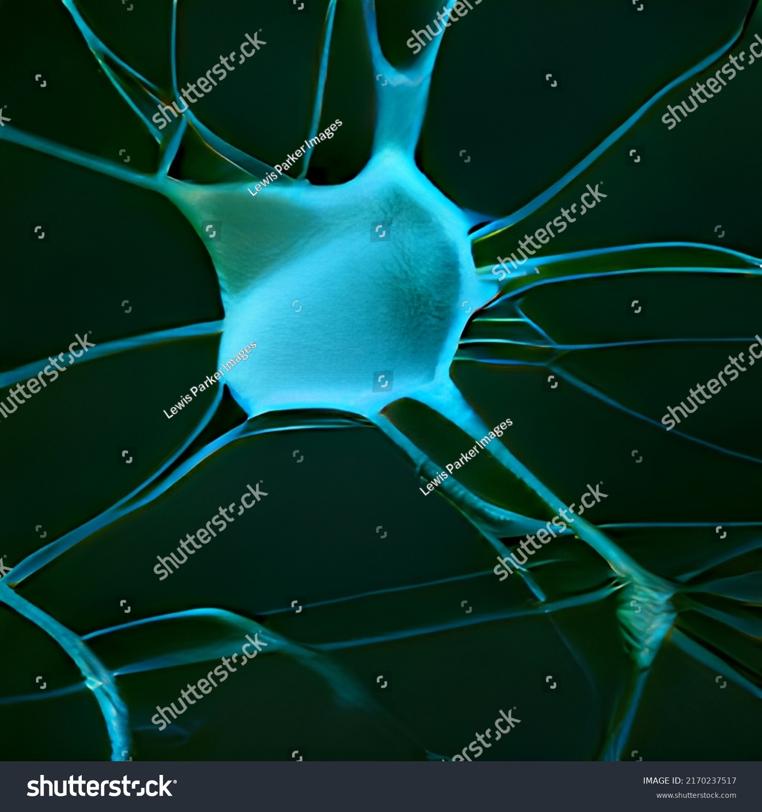 Drawing Neurons Multicolour Background Texture Artistic Stock ...