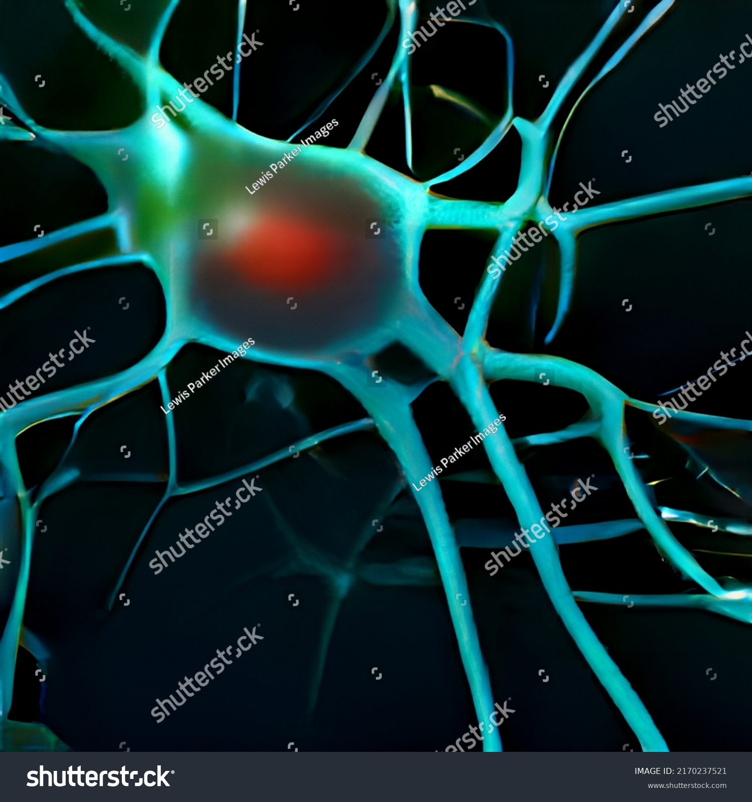 Drawing Neurons Multicolour Background Texture Artistic Stock ...