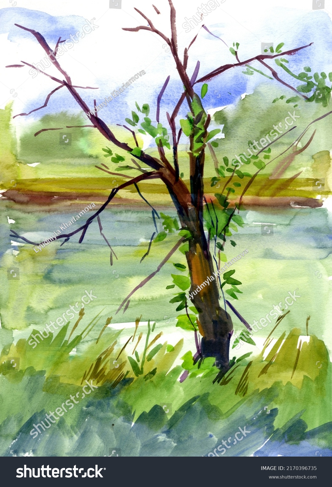 Landscape Tree Drawing Watercolor Stock Illustration 2170396735