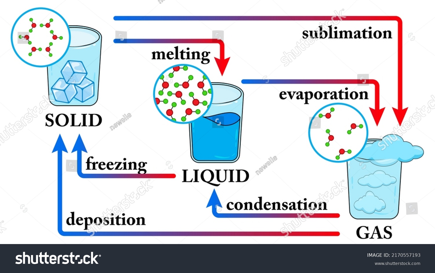 Water States Matter Phase Change State Stock Vector (Royalty Free ...