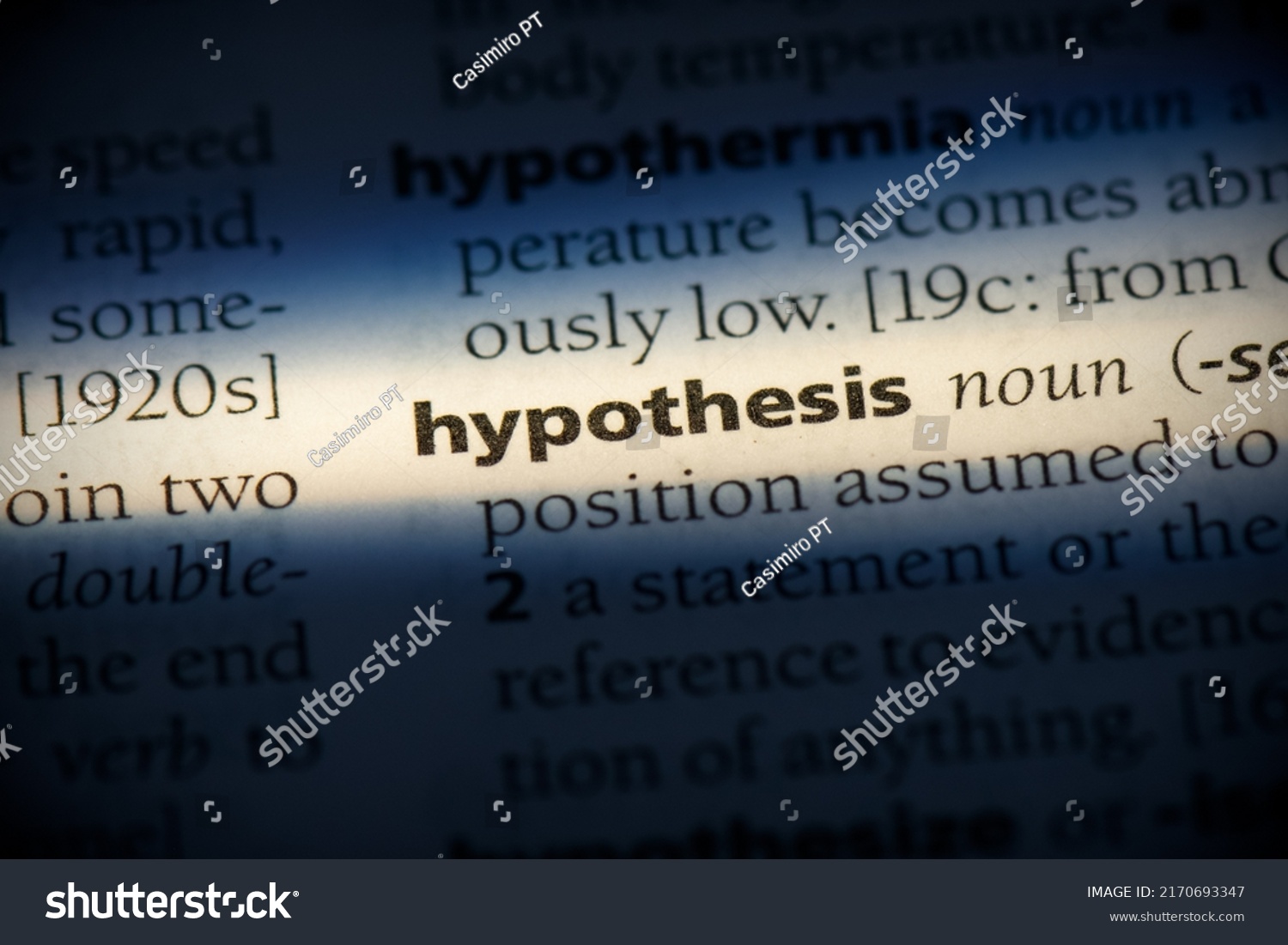 what does hypothesis mean in the dictionary