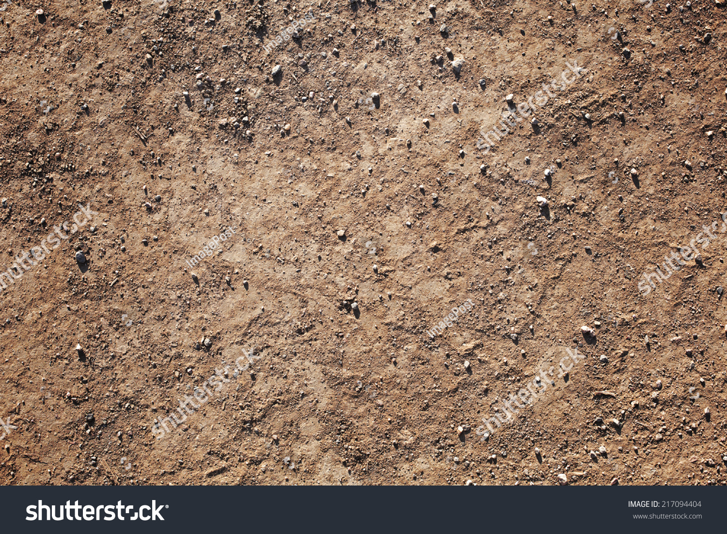 Drought Stock Photo 217094404 | Shutterstock