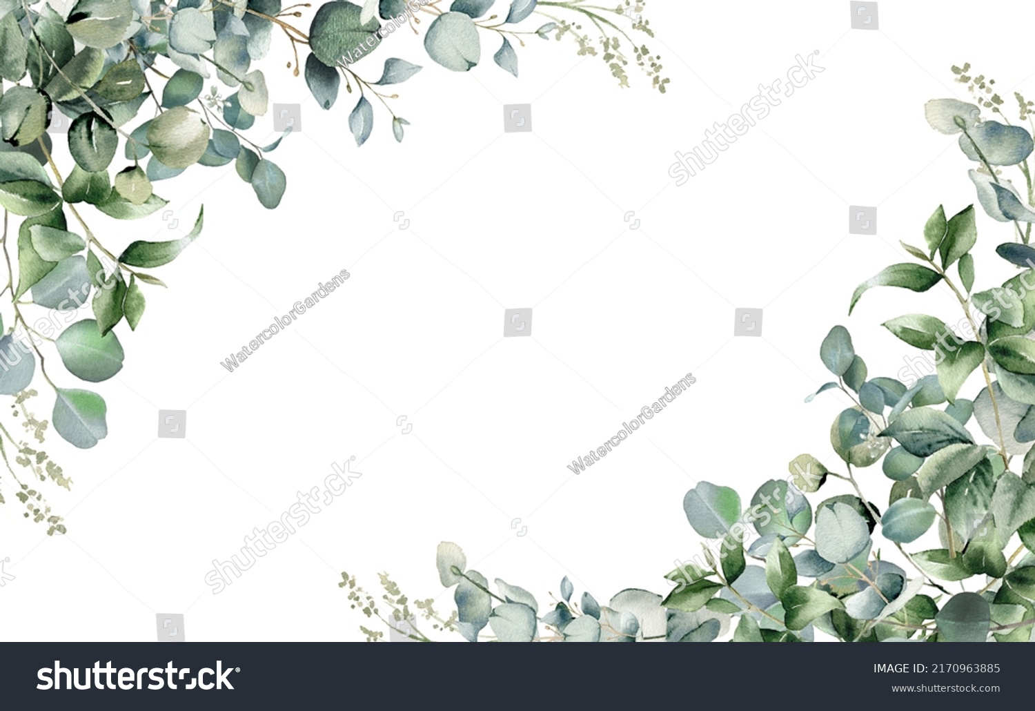 Eucalyptus Leaves Border Watercolor Illustration Isolated Stock ...