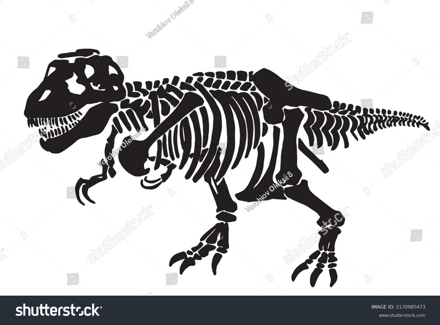 Graphical Skeleton Tyrannosaurus Isolated On Whitevector Stock Vector ...