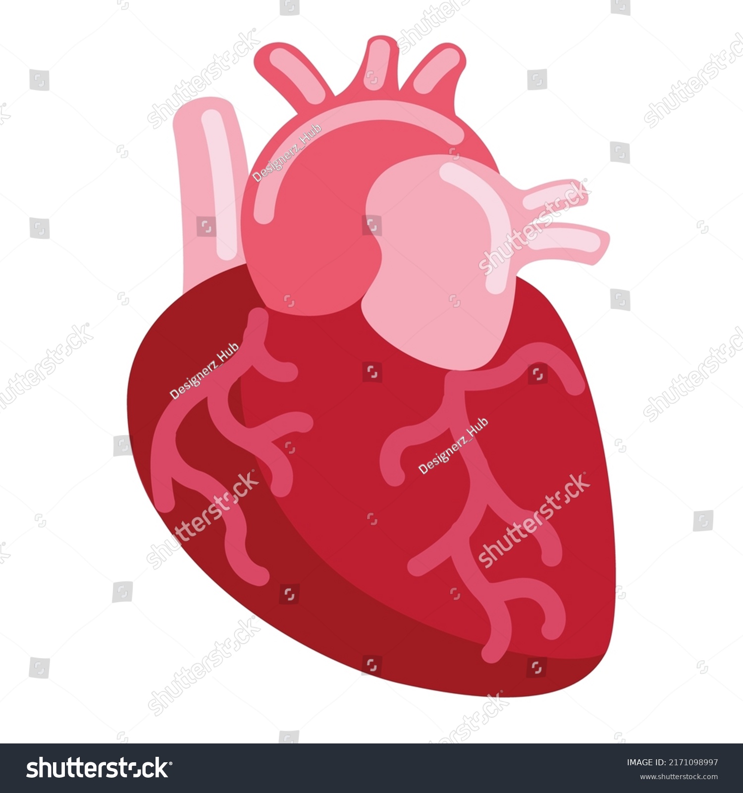 Illustration Human Heart Stock Vector (Royalty Free) 2171098997 ...