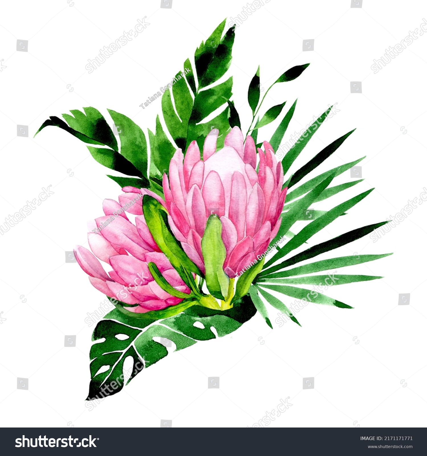 Watercolor Drawing Bouquet Tropical Flowers Leaves Stock Illustration 2171171771 Shutterstock 1242