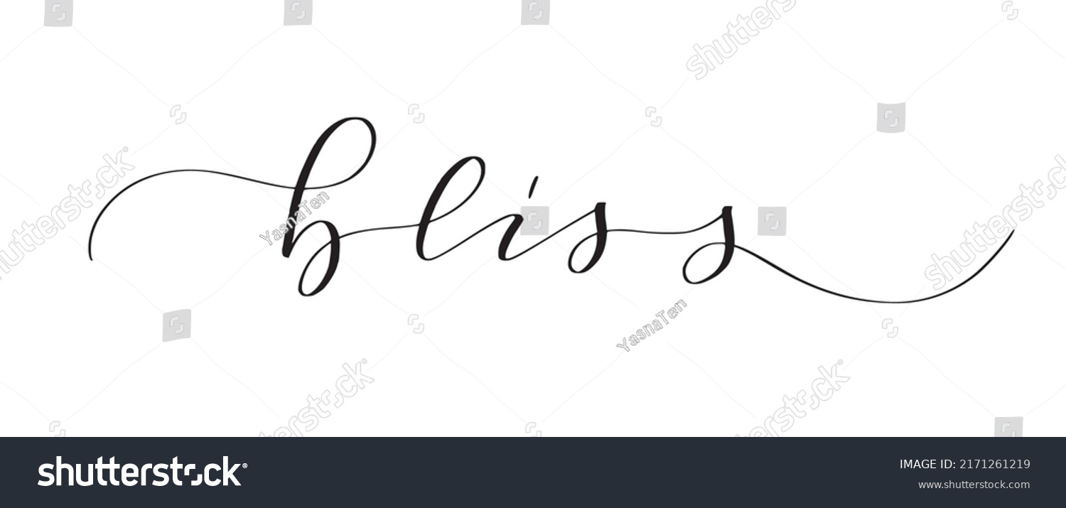 Word Bliss Written Cute Modern Calligraphy Stock Vector (Royalty Free ...