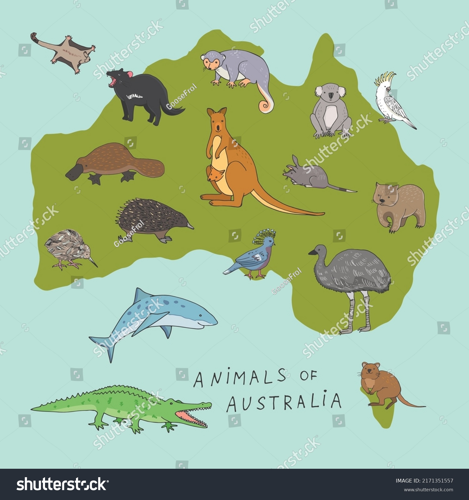 Australian Map Animals Vector Illustrations Set Stock Vector (Royalty ...