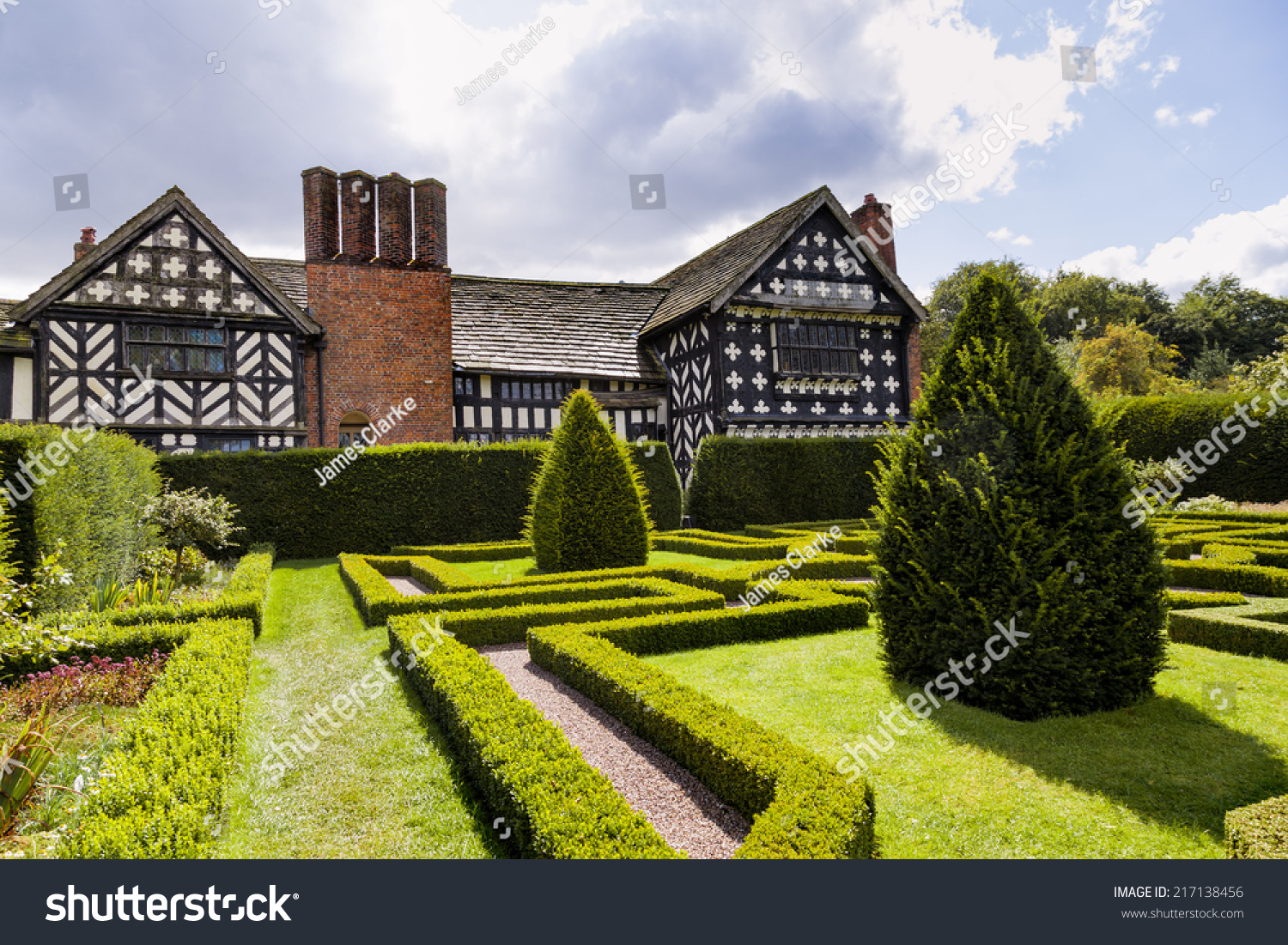 Tudor Knot Garden Yew Trees Next Stock Photo 217138456 | Shutterstock