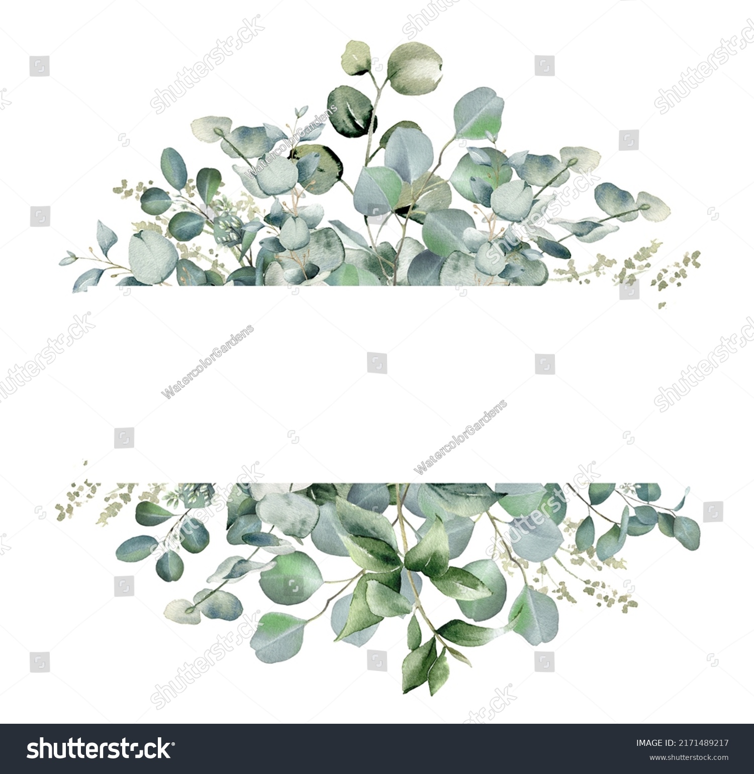 Eucalyptus Flower Border Watercolor Illustration Isolated Stock ...