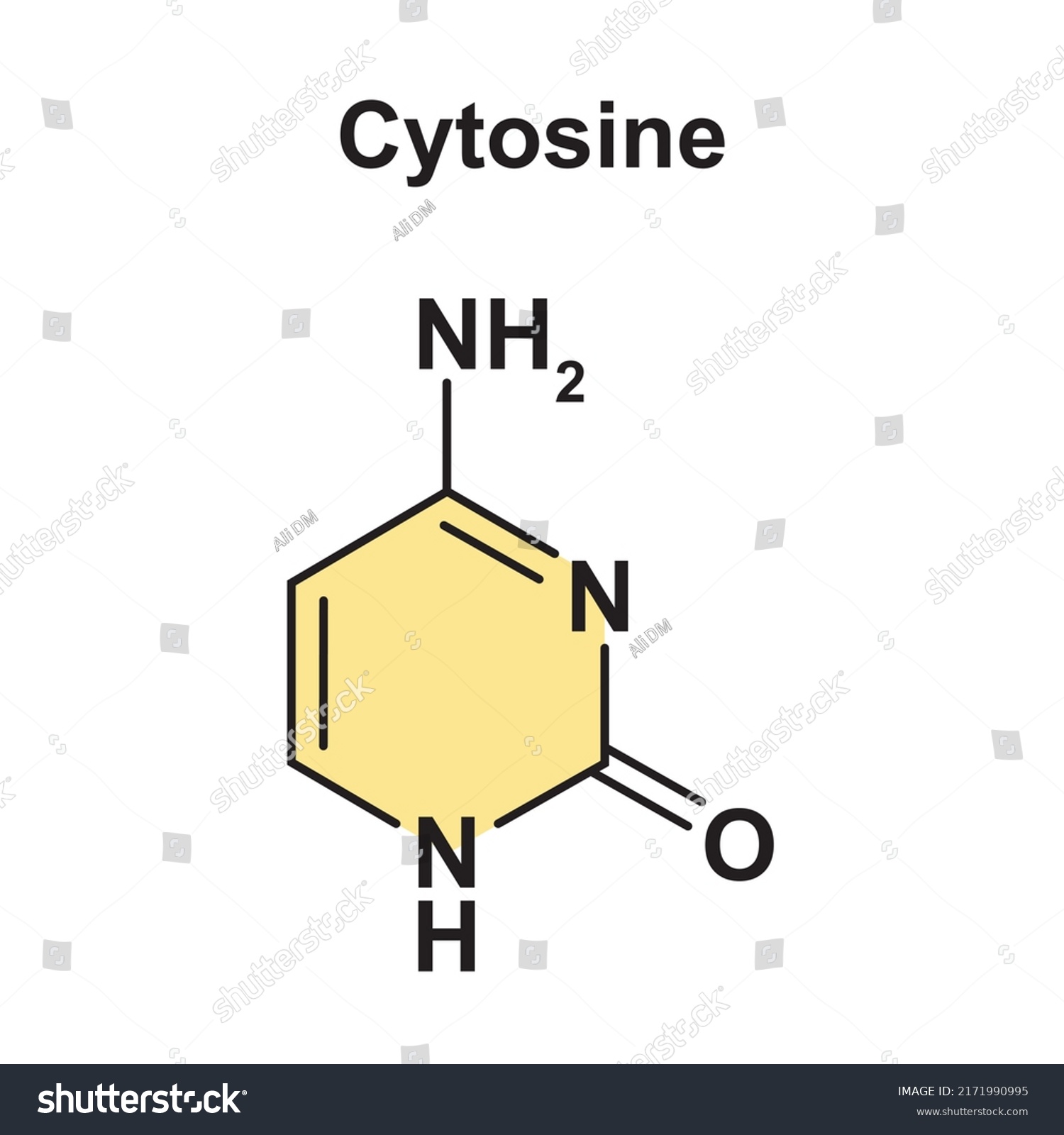 Chemical Illustration Cytosine Molecule Vector Illustration Stock Vector Royalty Free