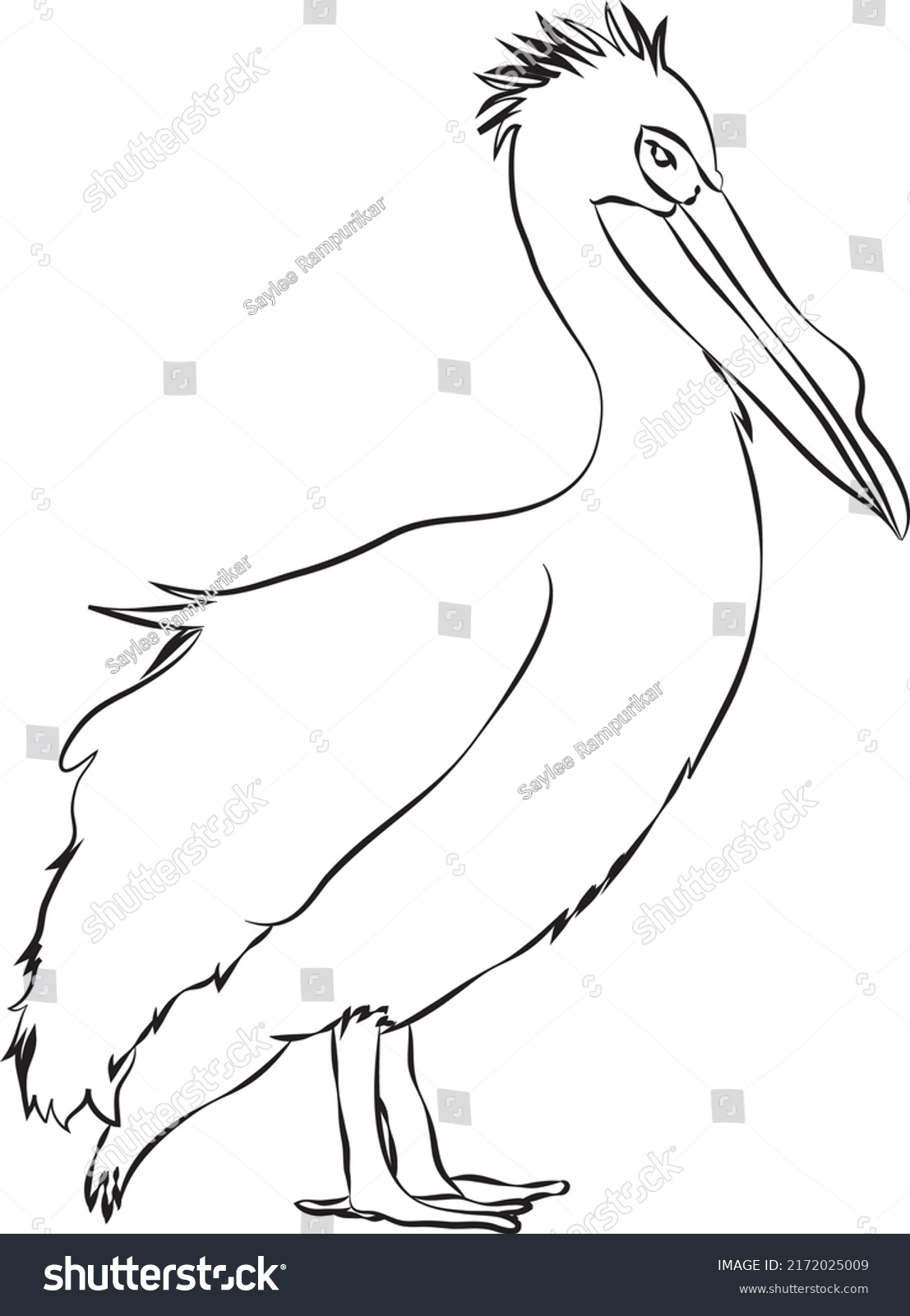 Pelican Bird Clip Art Black White Stock Vector (Royalty Free ...