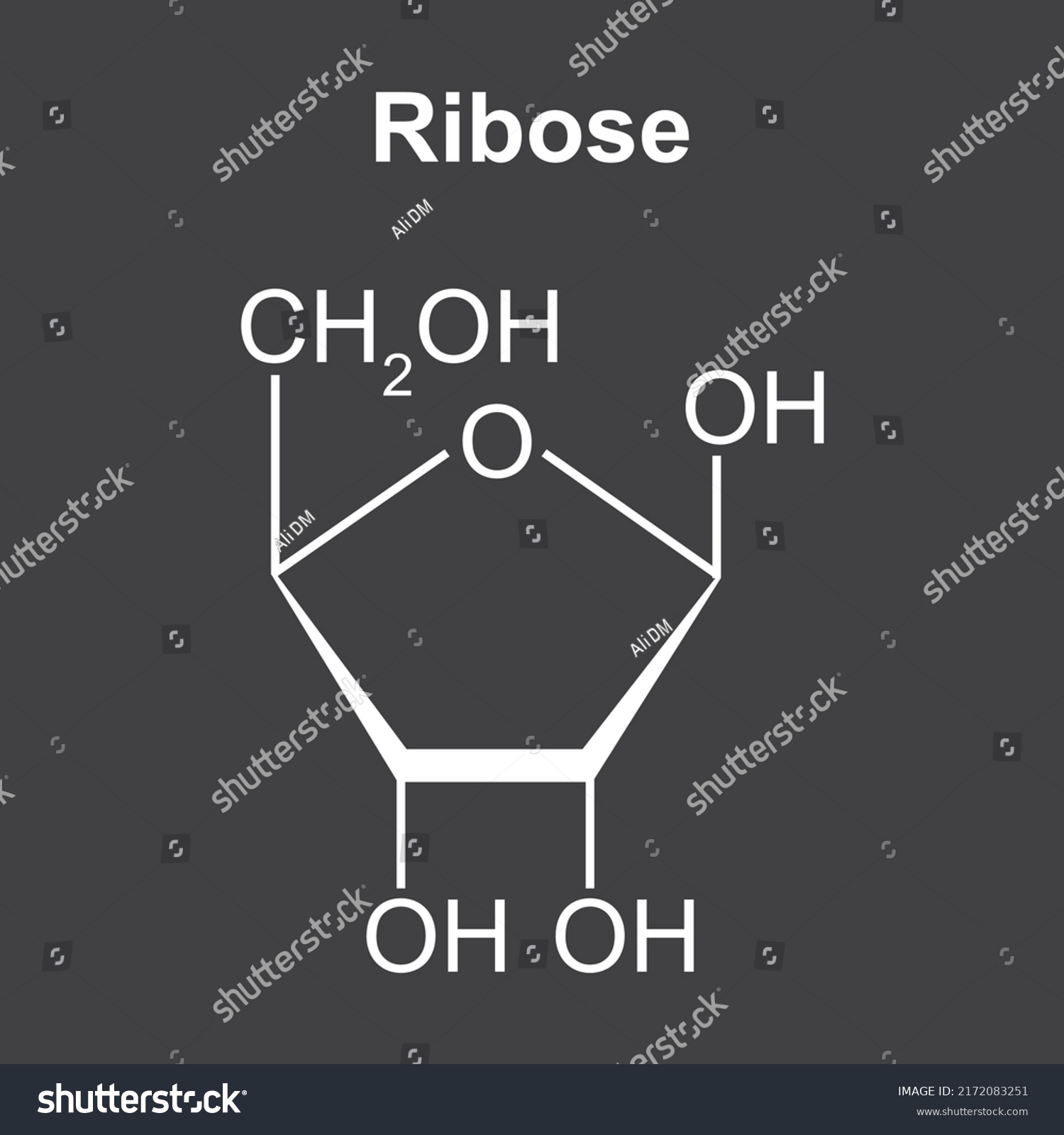 Chemical Structure Ribose Sugar Molecule Vector Stock Vector (Royalty ...