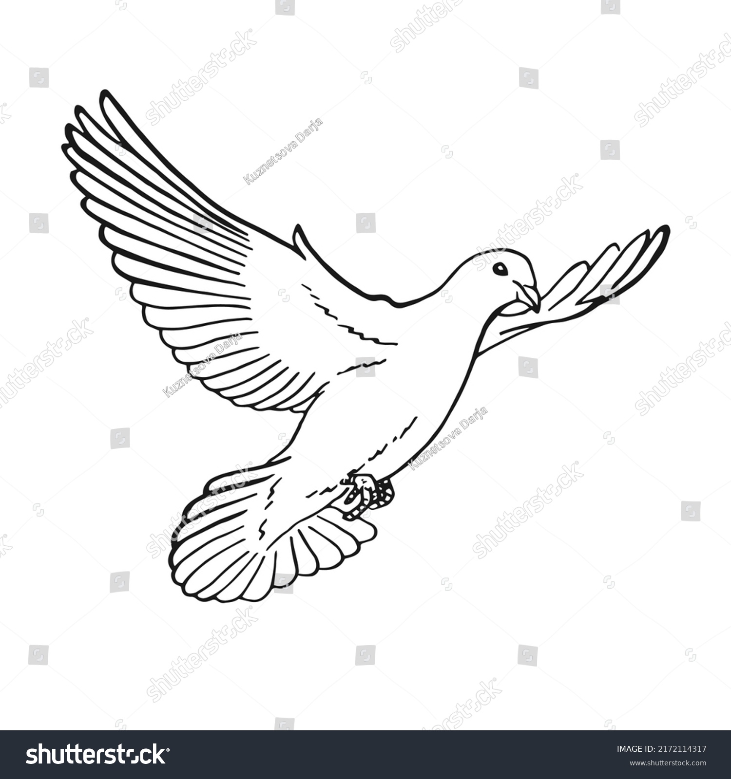 Hand Drawn Dove Outline Line Art Stock Vector (Royalty Free) 2172114317 ...