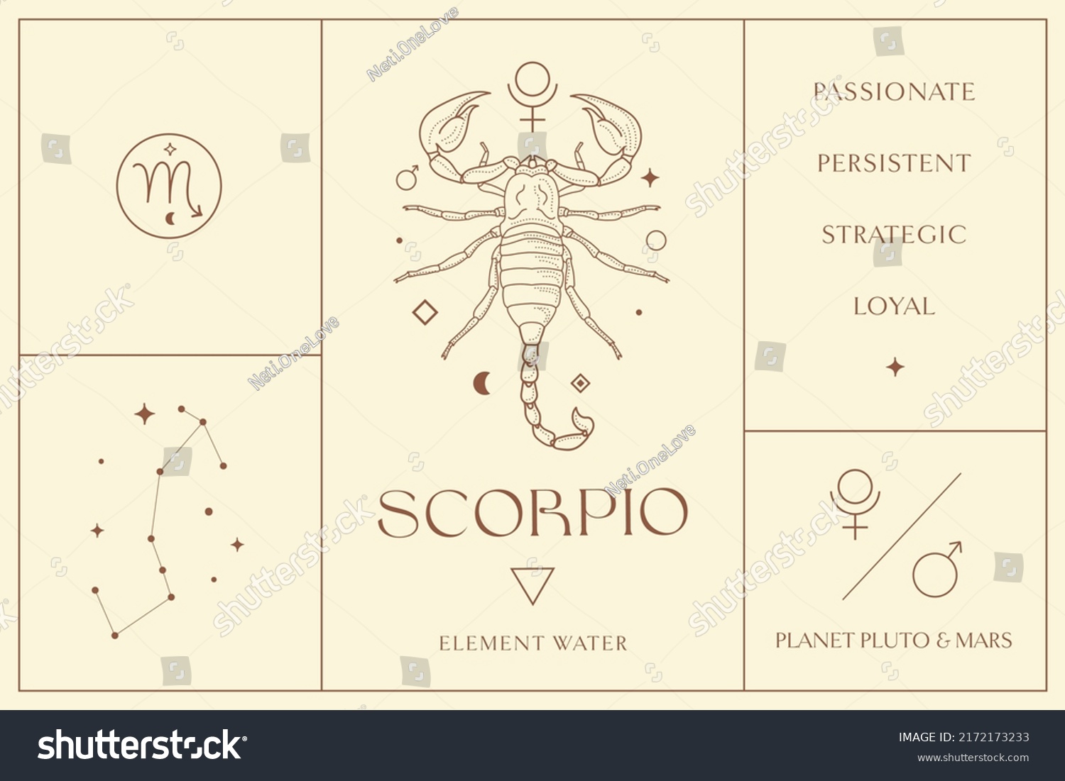 Scorpio Zodiac Sign Design Esoteric Abstract Stock Vector (Royalty Free ...