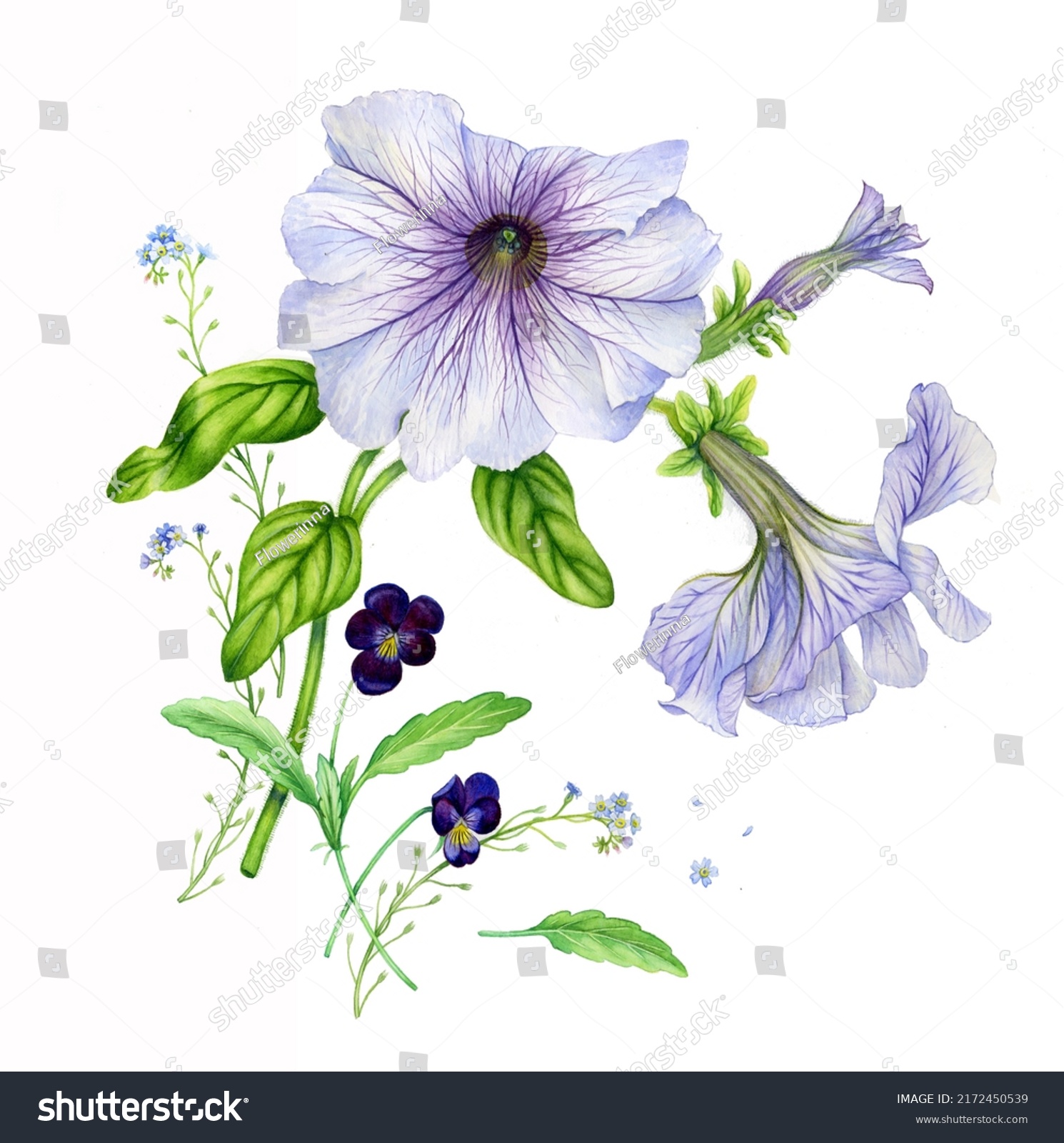 Botanical Watercolor Illustration Isolated On White Stock Illustration ...