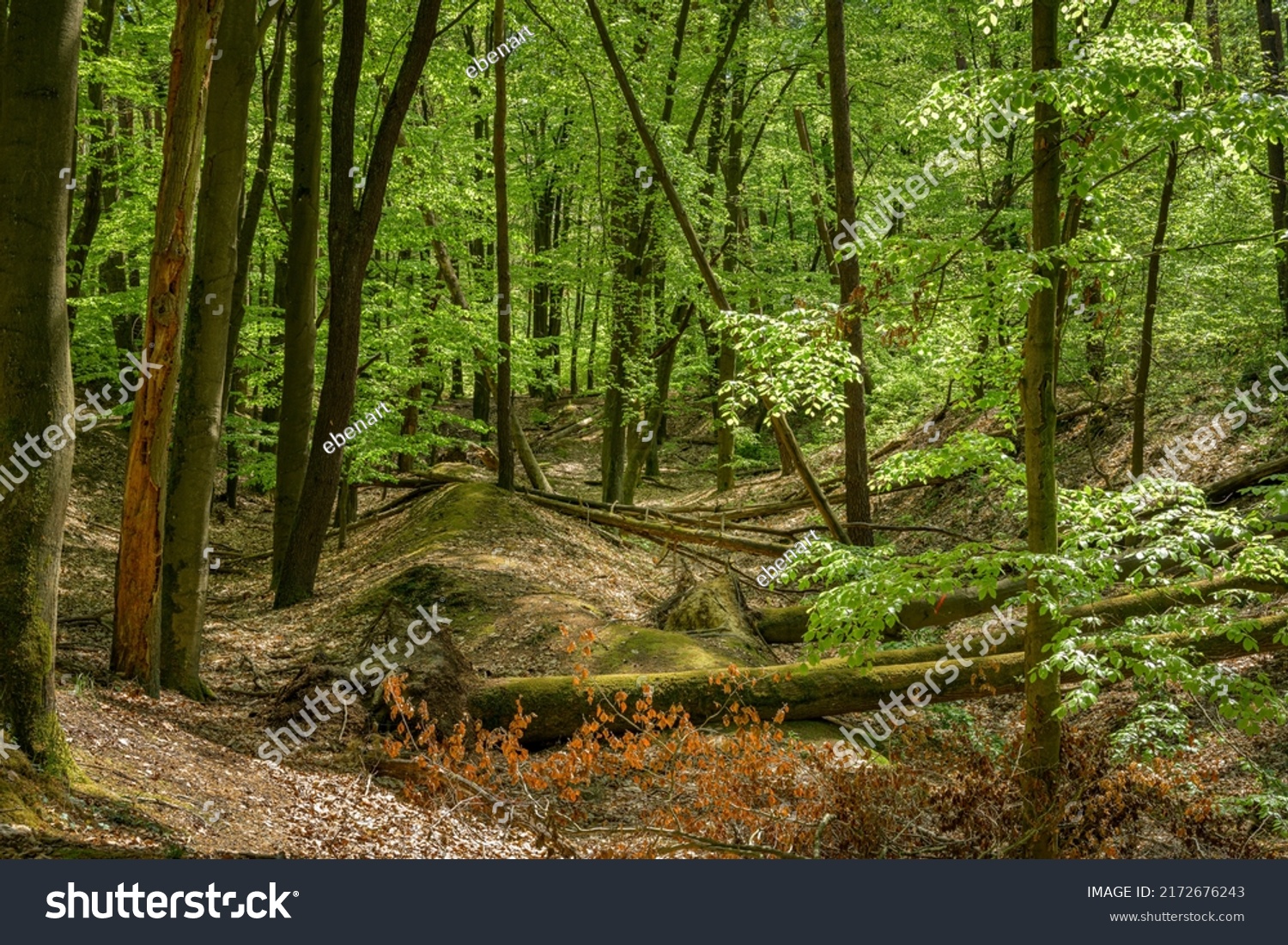 10 Rummel valley Images, Stock Photos & Vectors | Shutterstock