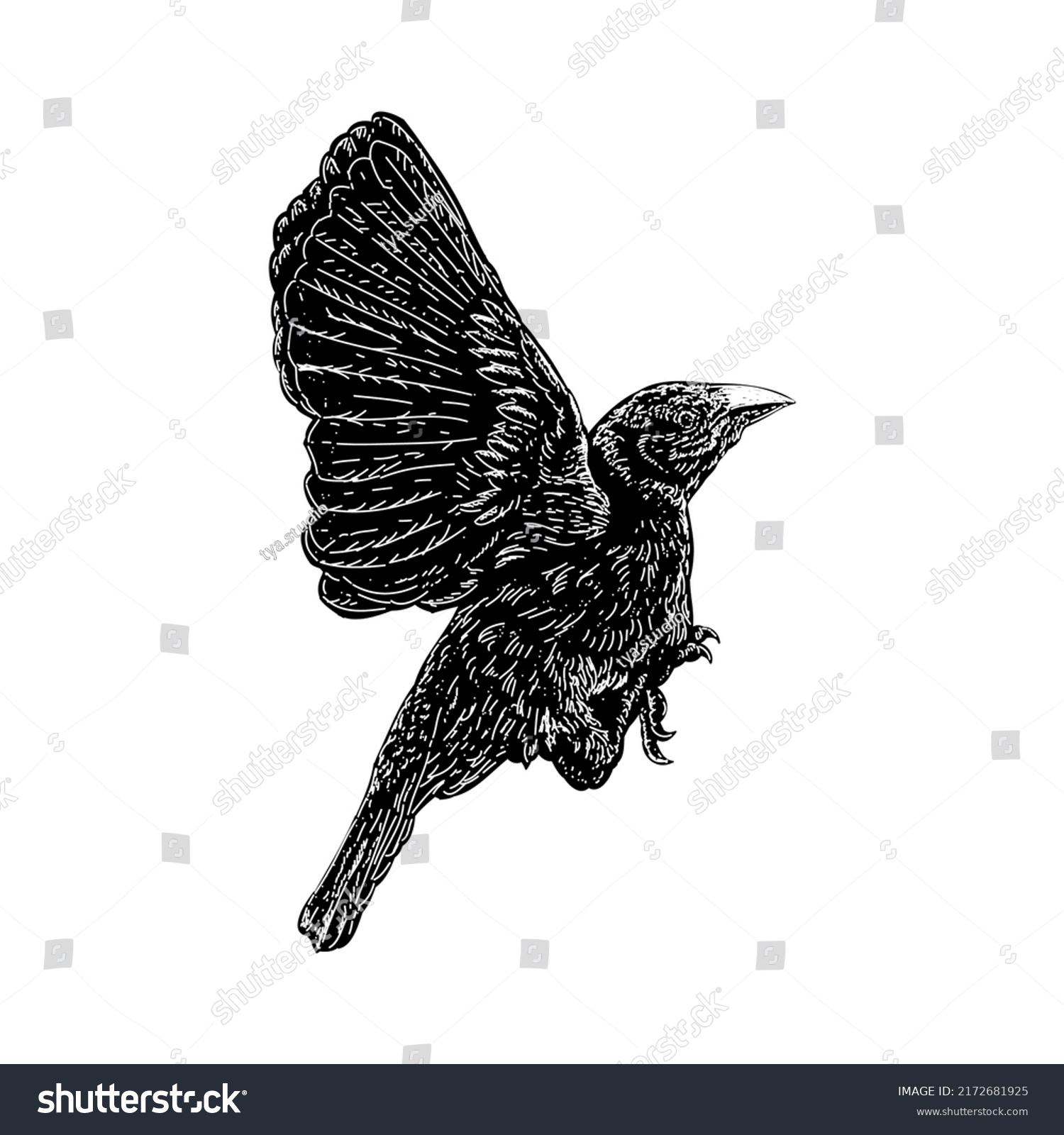 Weaver Bird Hand Drawing Vector Illustration Stock Vector Royalty Free 2172681925 Shutterstock Weaver Bird Hand Drawing Vector Illustration Stock Vector Royalty Free 2172681925 Shutterstock