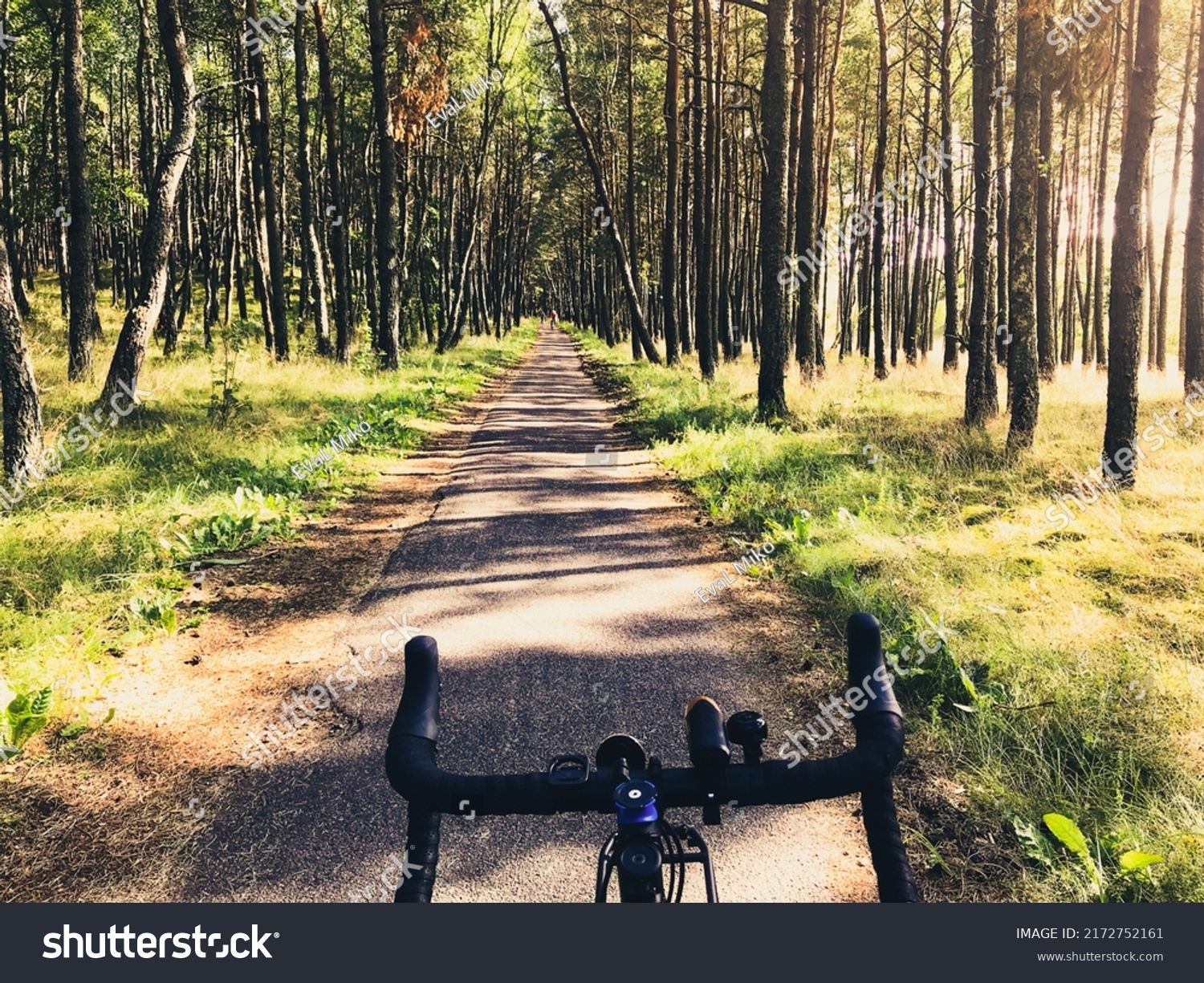 Front View Bicycle Road Bicycle Handles Stock Photo 2172752161