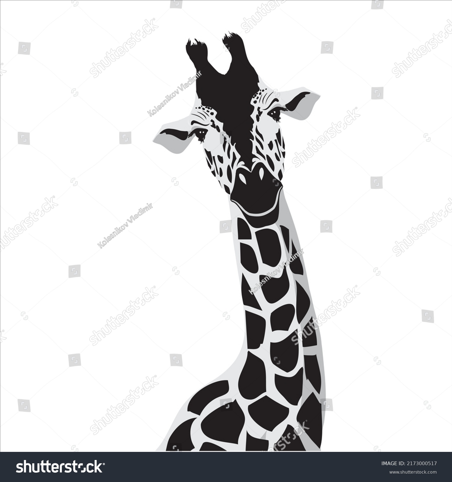 Vector Illustration Black Silhouette Giraffe Isolated Stock Vector ...