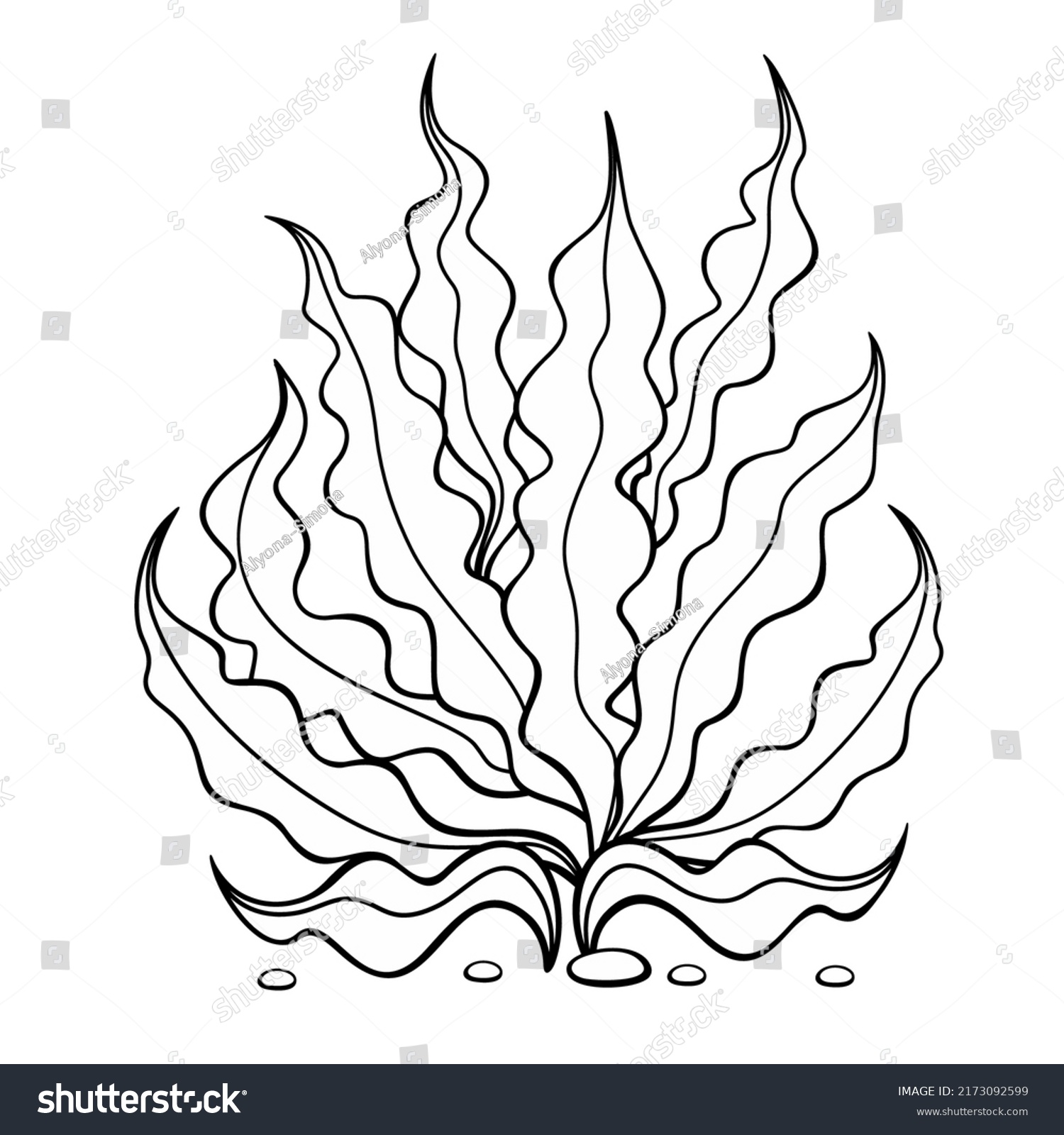 Seaweed Algae Vector Isolated Illustration Stock Vector (Royalty Free ...