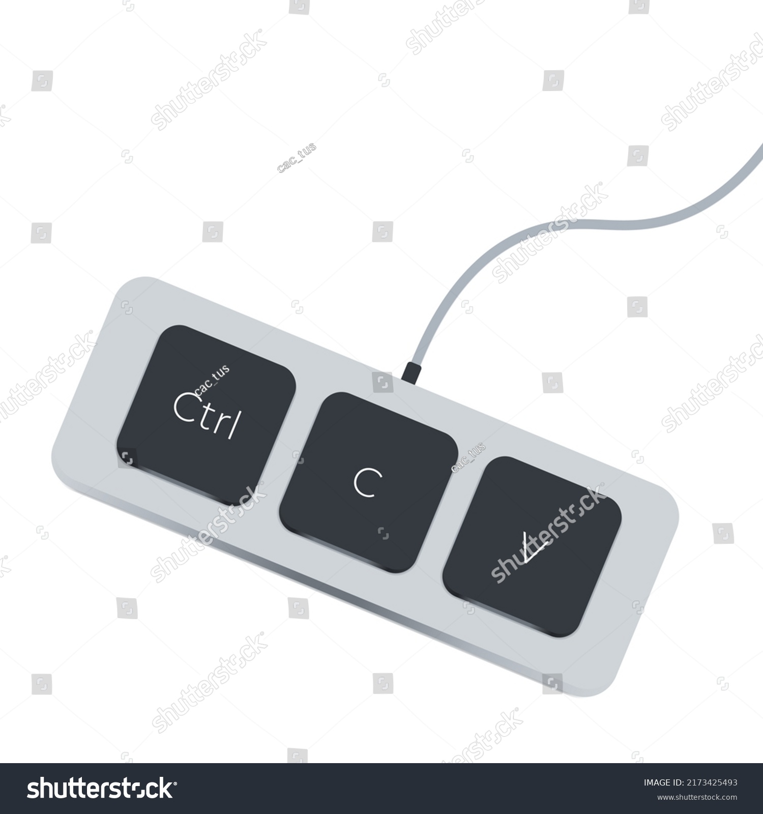 Keyboard Keys Ctrl C Ctrl V Stock Vector (Royalty Free) 2173425493 ...