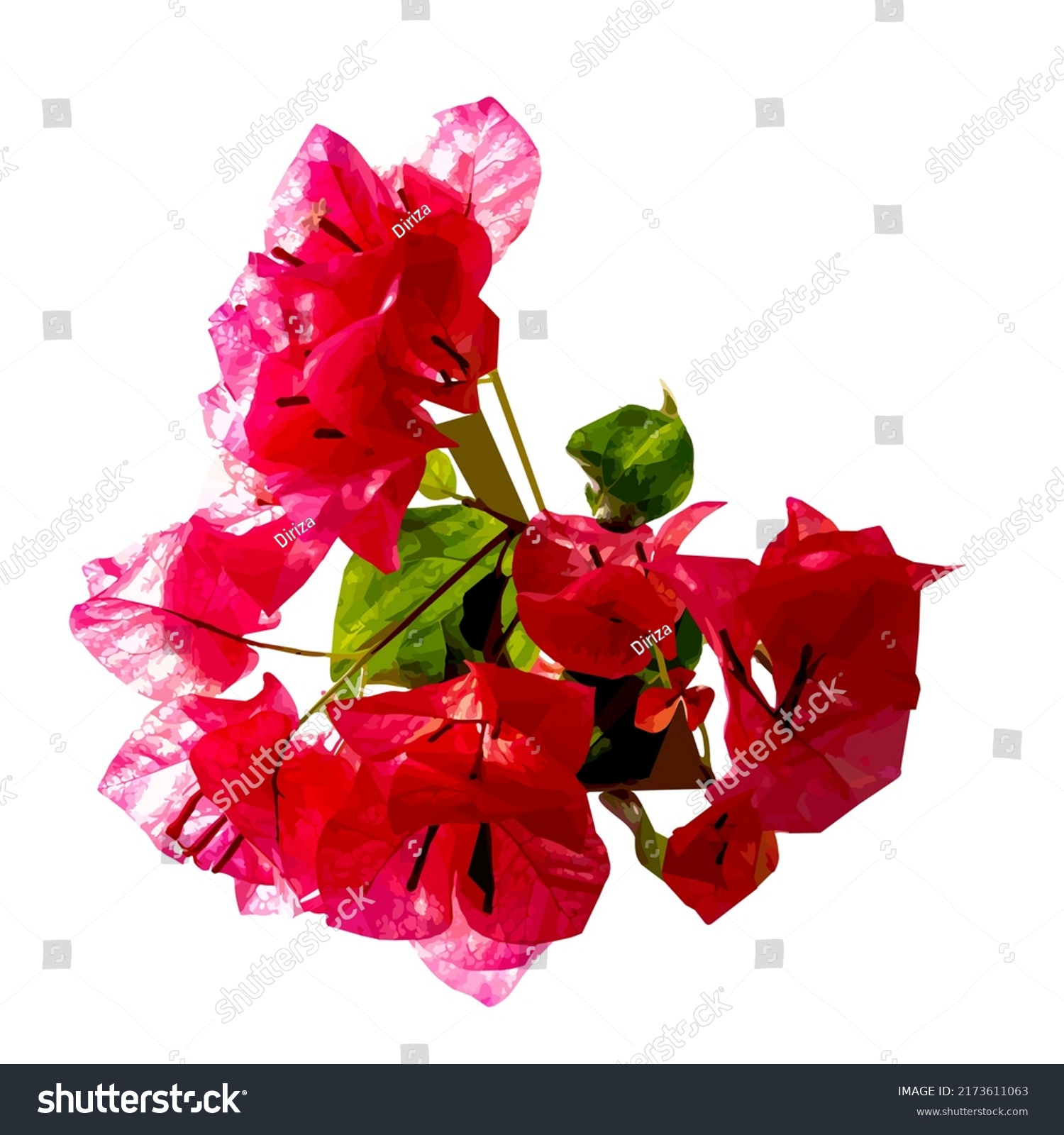 Image Bougainvillea Planta Bright Red Pink Stock Vector (Royalty Free ...