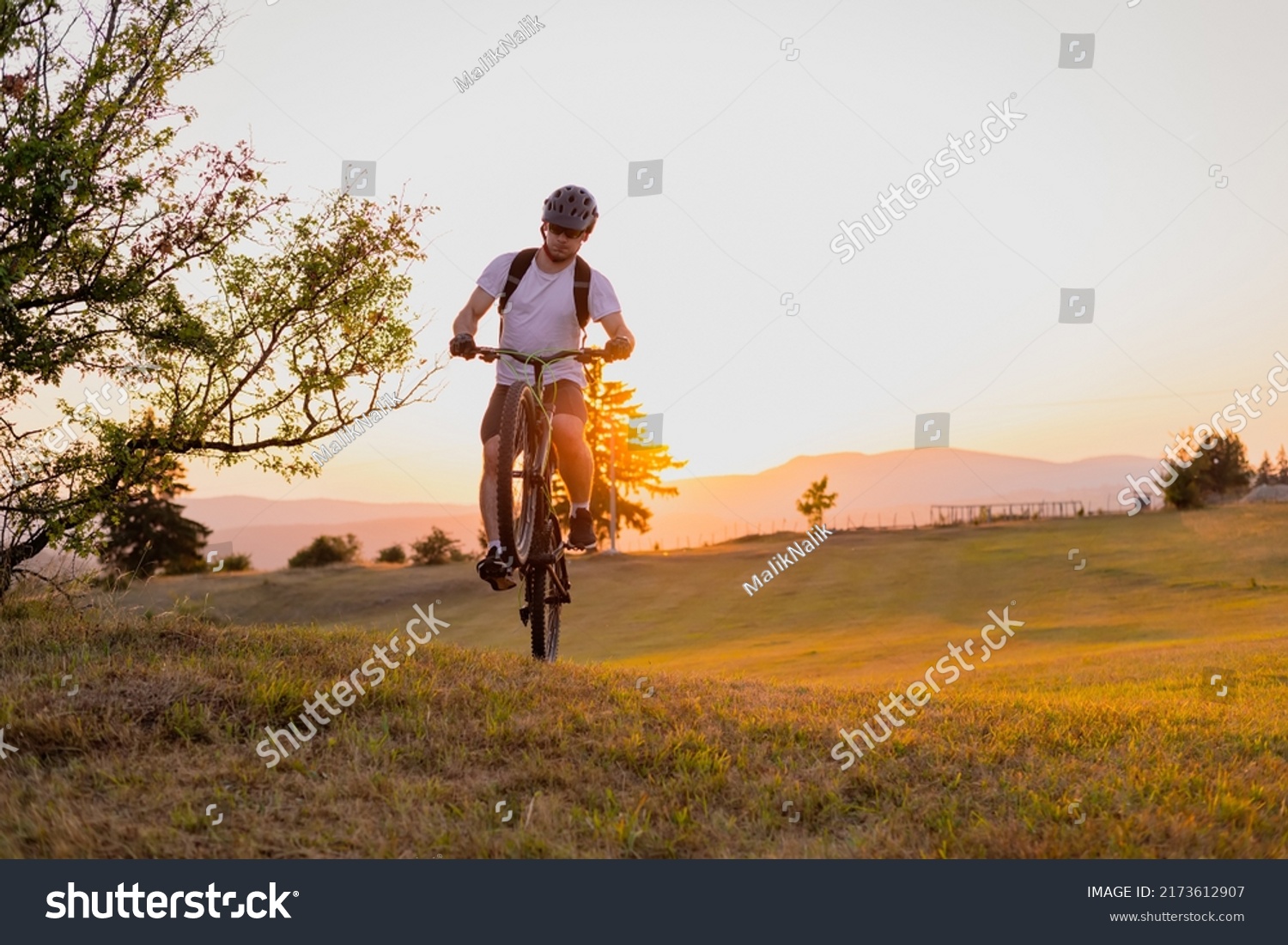 professional mountain bike