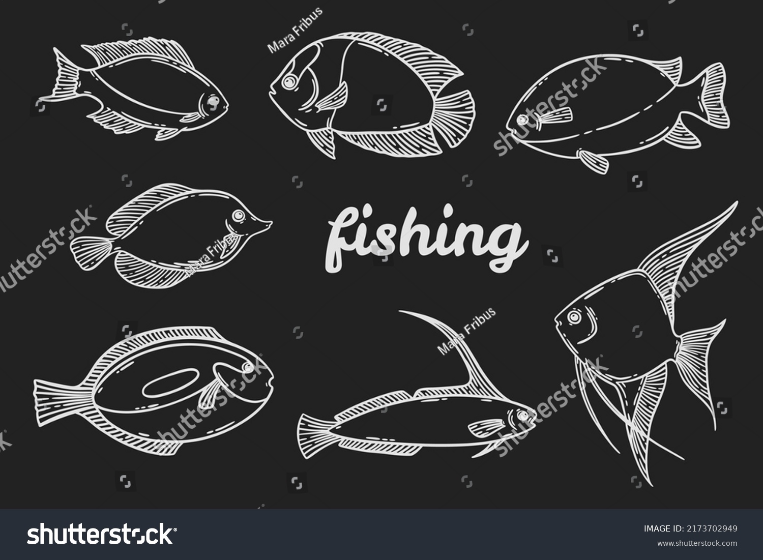 School Fish Sketch Set Hand Drawn Stock Vector (Royalty Free ...