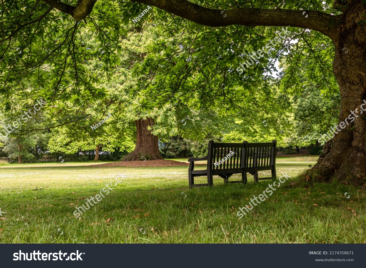 Empty Park Bench Peaceful Park Stock Photo 2174358671 | Shutterstock